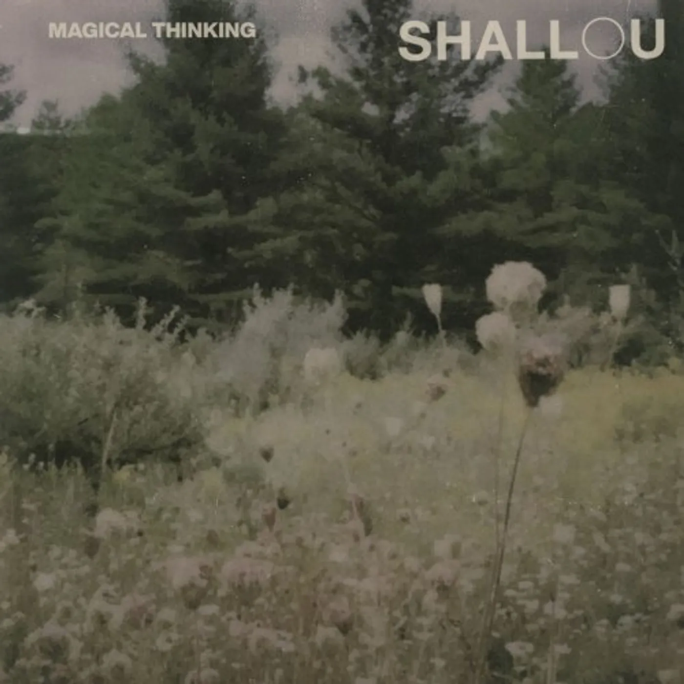 Shallou Magical Thinking Vinyl Record