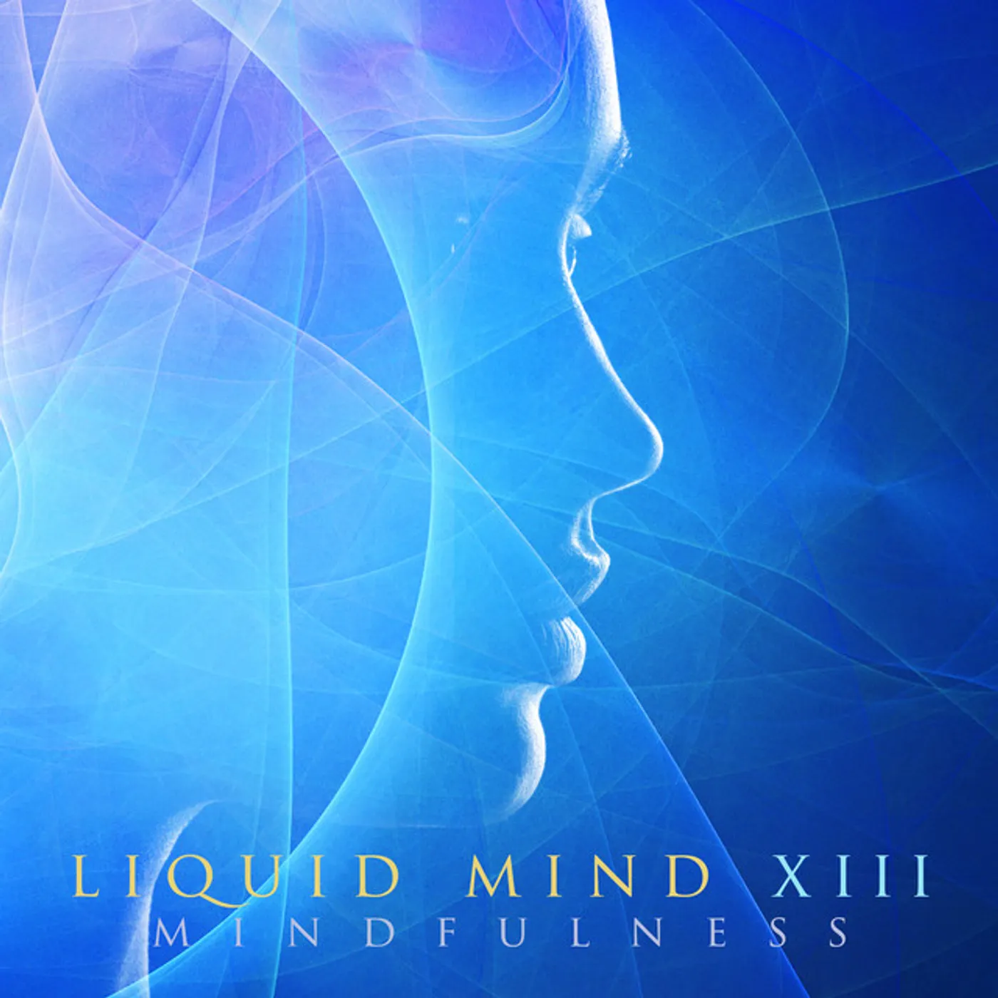 LIQUID MIND XIII: MINDFULNESS CD