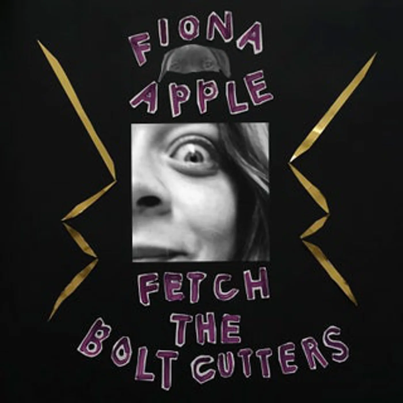 Fiona Apple FETCH THE BOLT CUTTERS CD