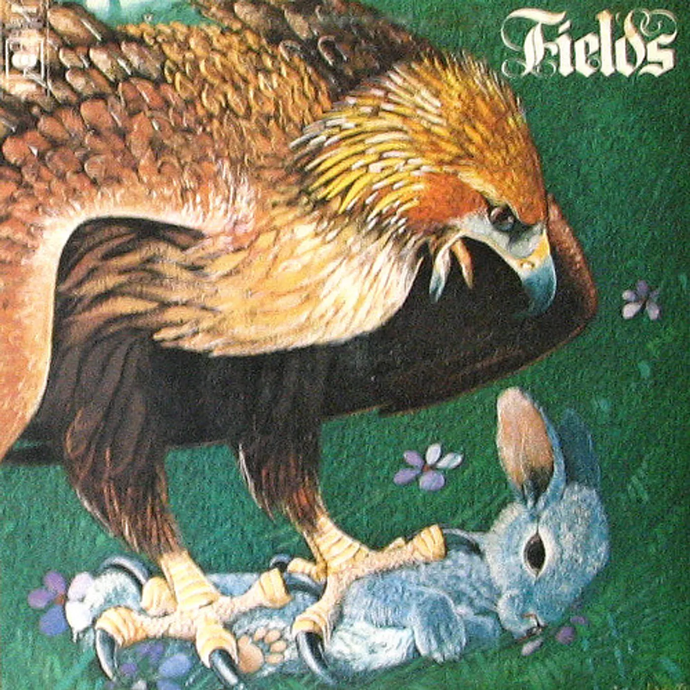 FIELDS CD