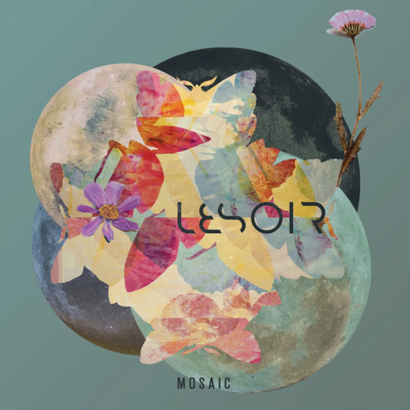 Lesoir Mosaic Vinyl Record