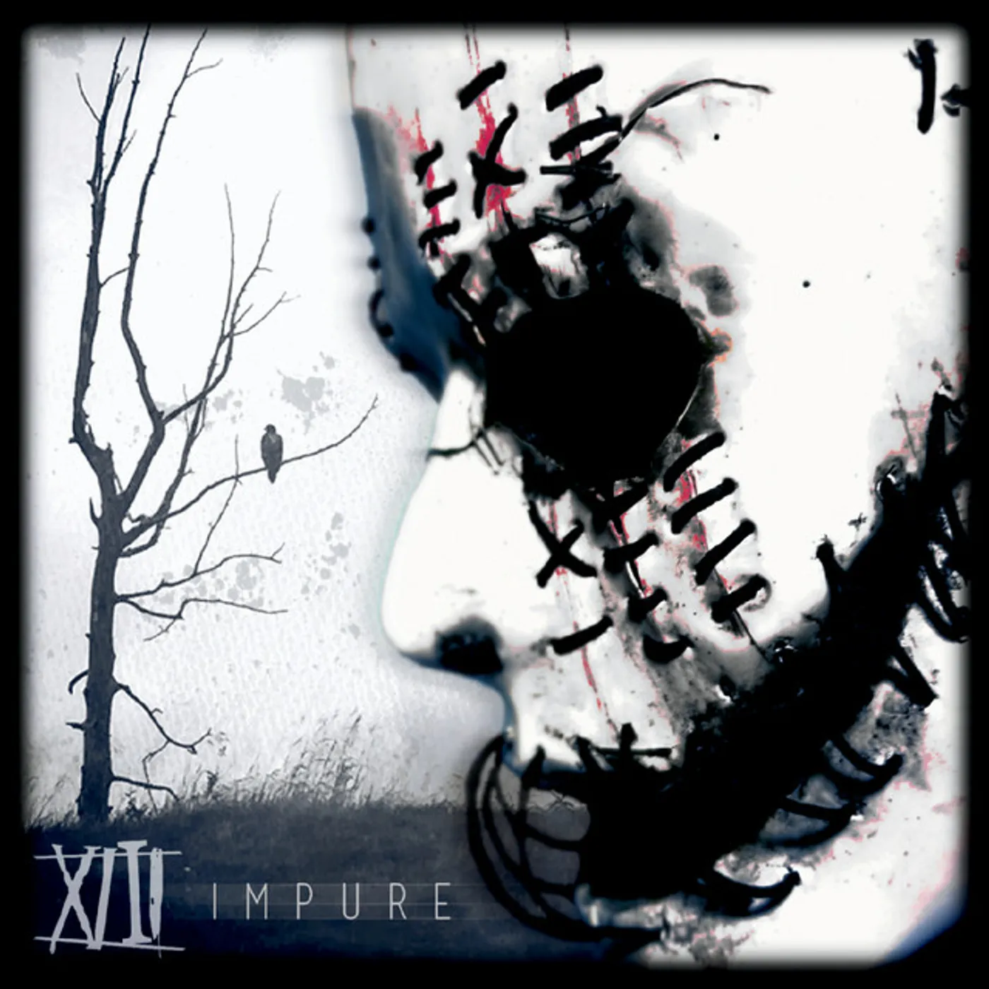 XIII IMPURE CD