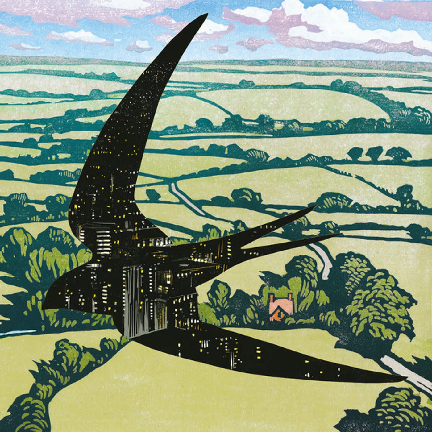 Bibio Sleep On The Wing Vinyl Record