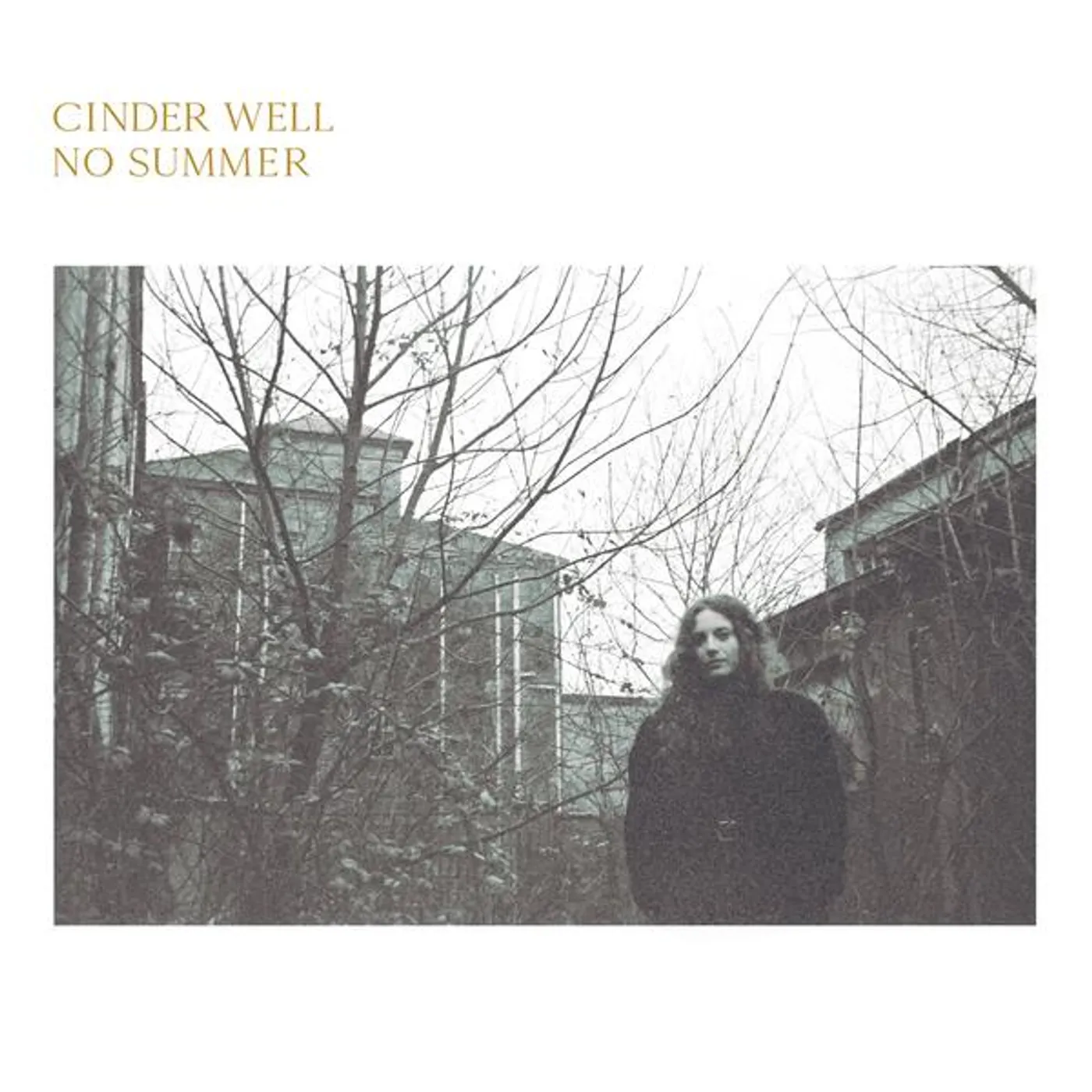 Cinder Well No Summer Vinyl Record