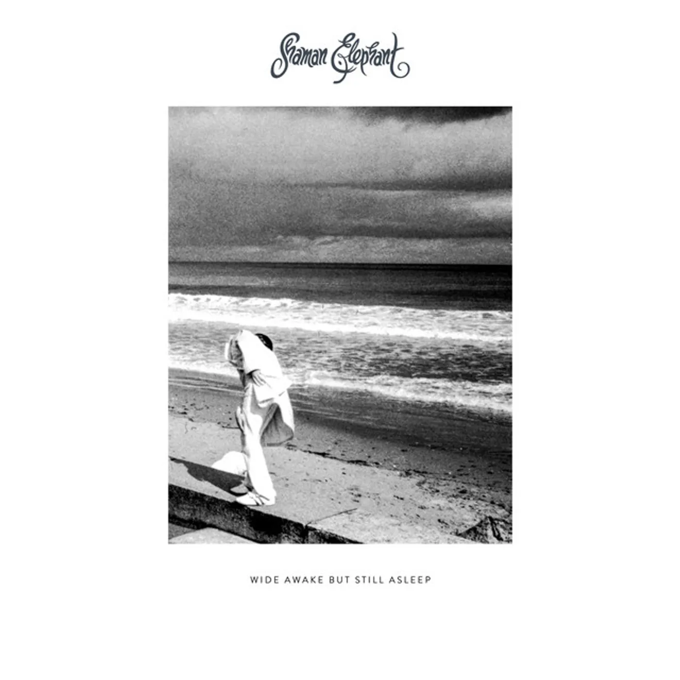 Shaman Elephant WIDE AWAKE BUT STILL ASLEEP CD