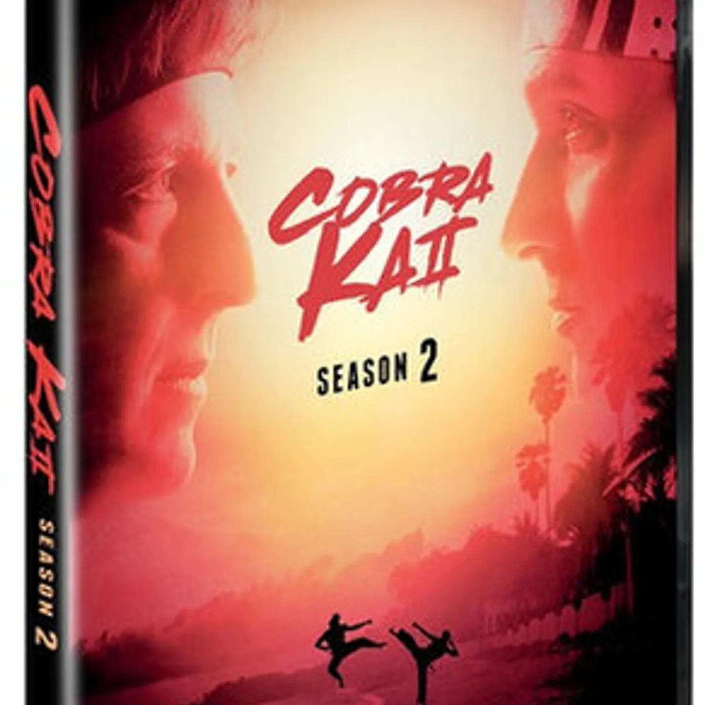 COBRA KAI: SEASON 2 DVD