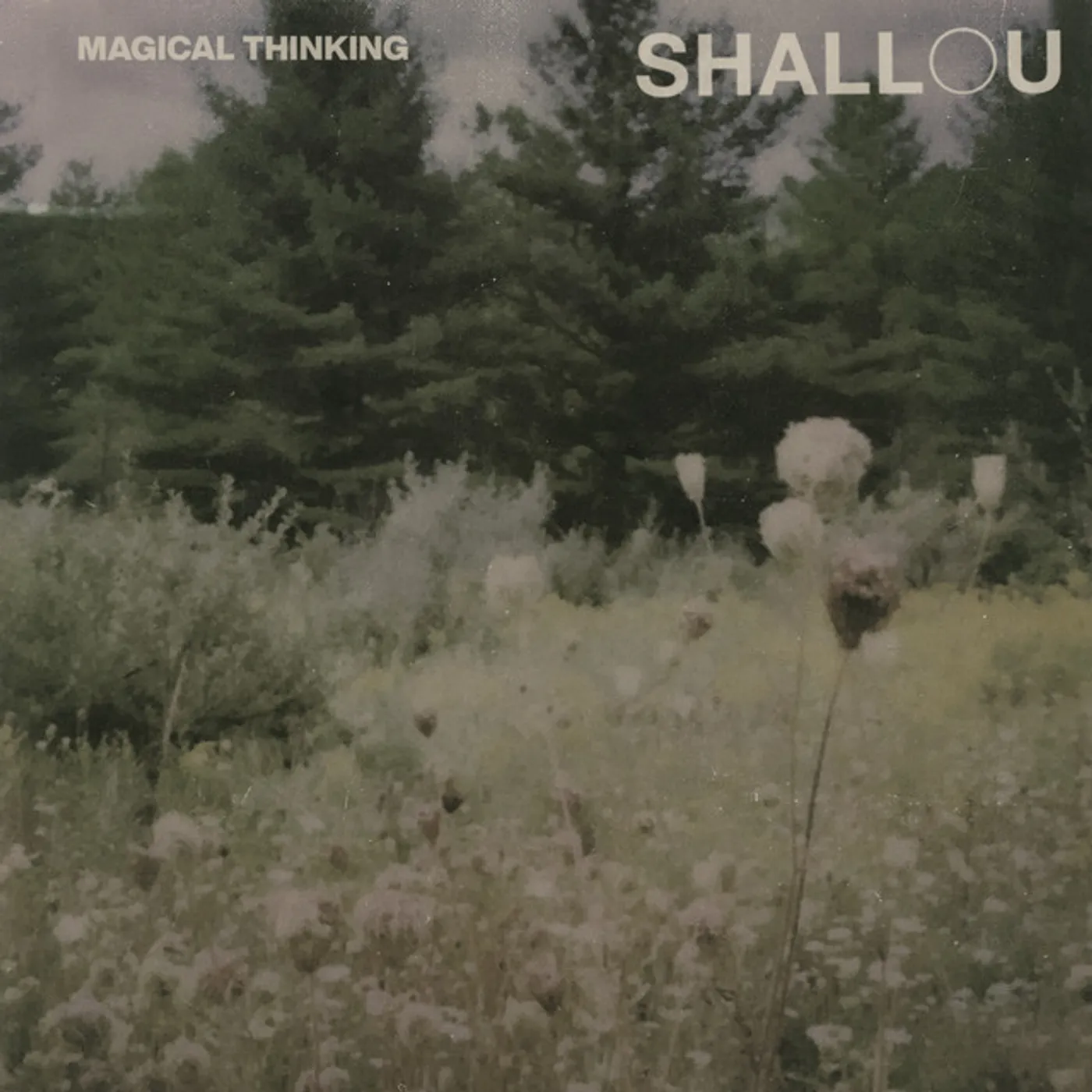 Shallou MAGICAL THINKING CD