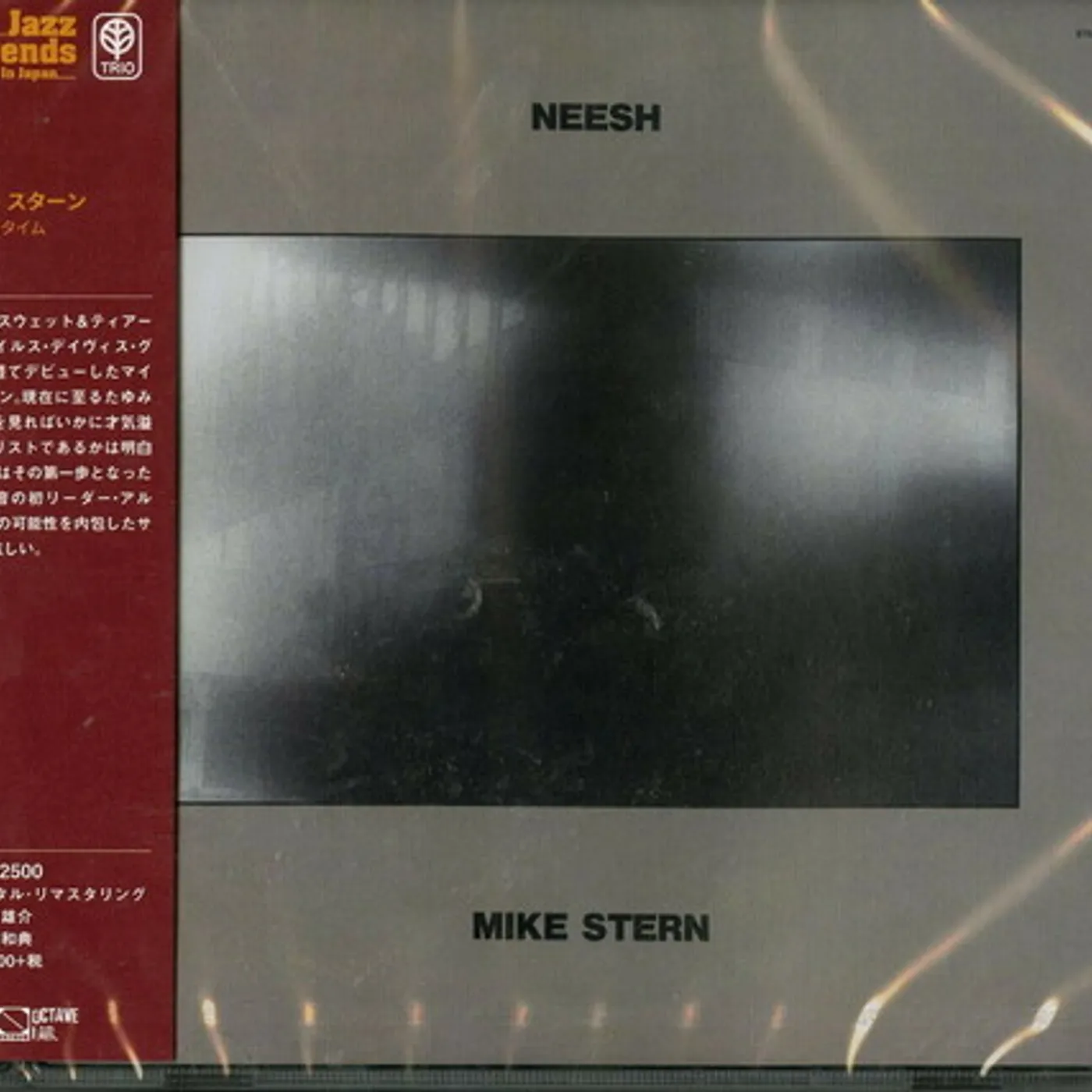 Mike Stern FAT TIME CD