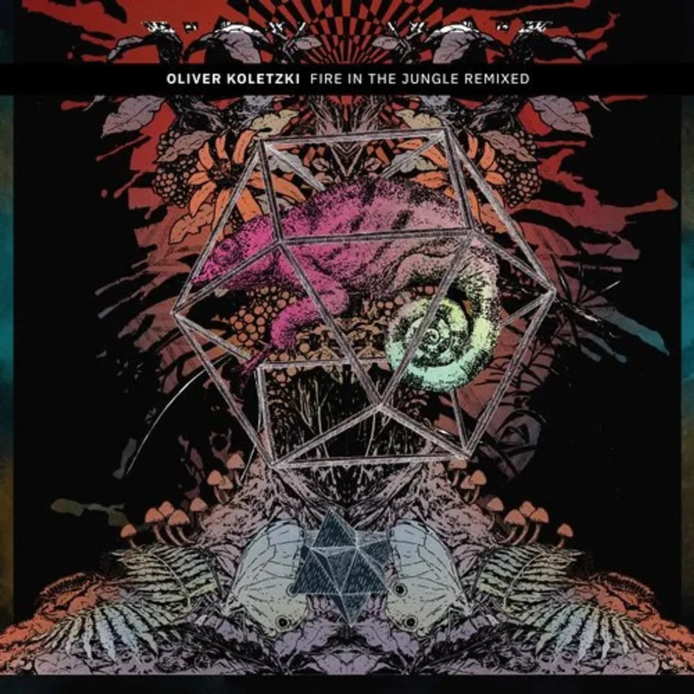 Oliver Koletzki Fire in the Jungle Remixed Vinyl Record