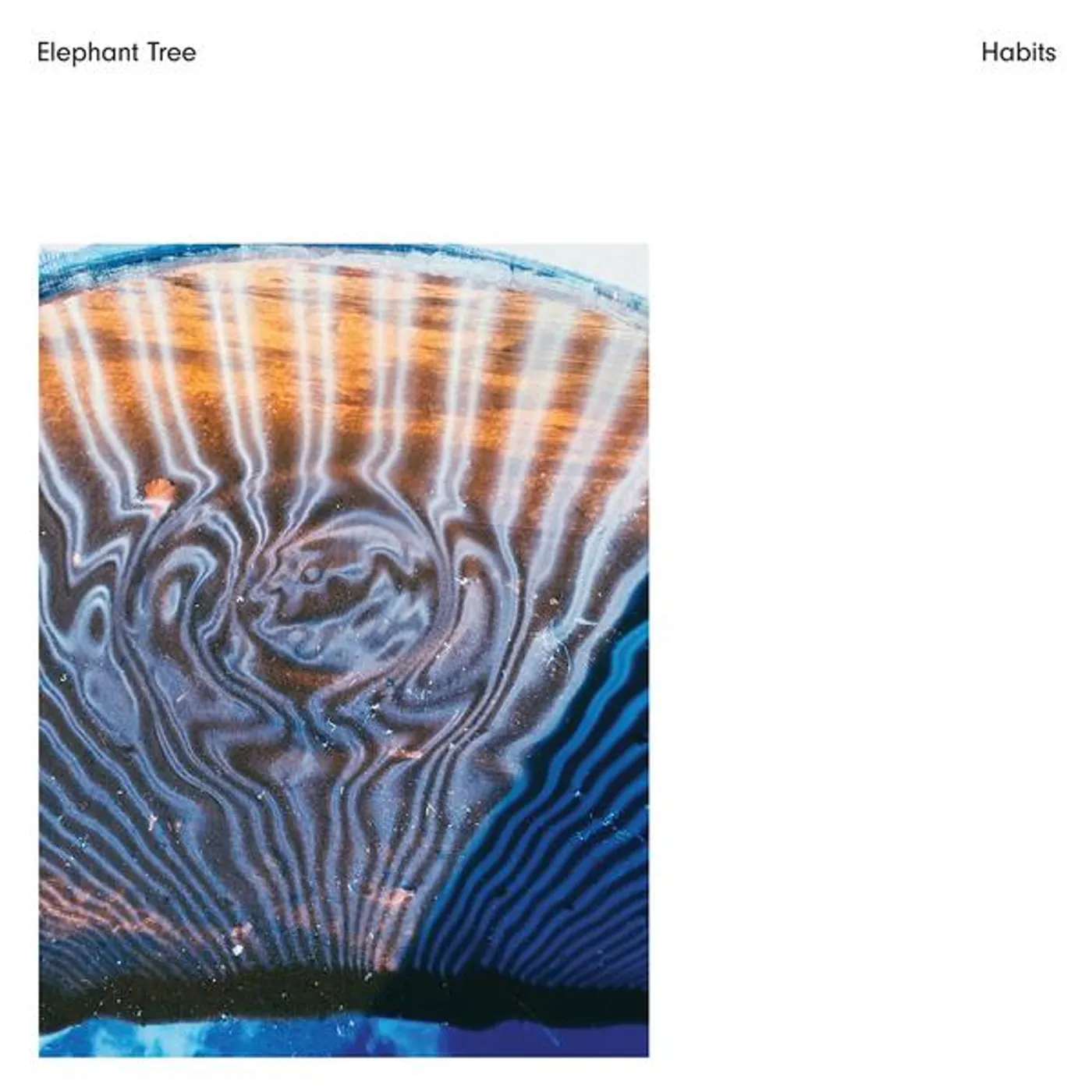 Elephant Tree Habits Vinyl Record