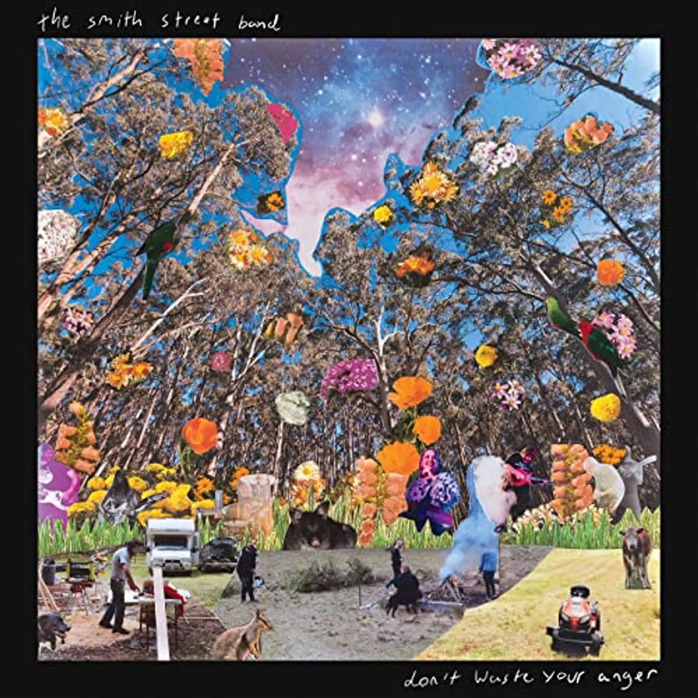 The Smith Street Band Don't Waste Your Anger Vinyl Record