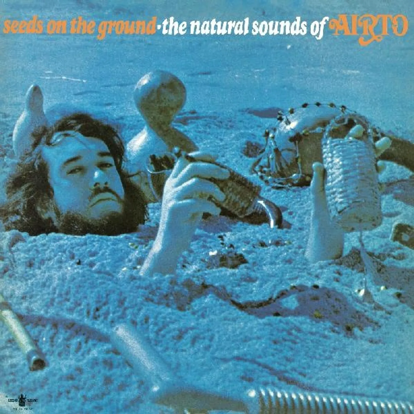 SEEDS ON THE GROUND: NATURAL SOUNDS OF AIRTO Vinyl Record