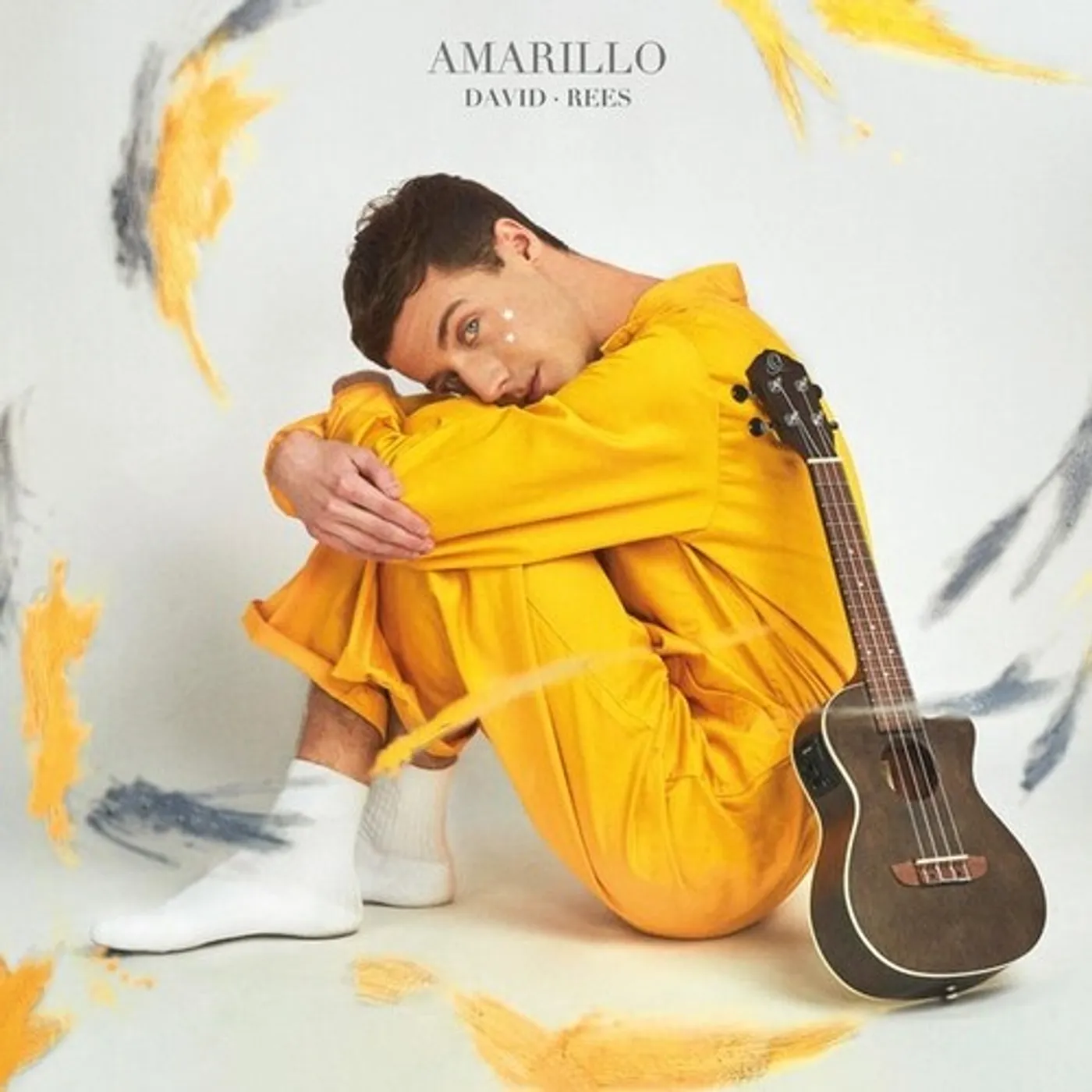 David Rees AMARILLO CD