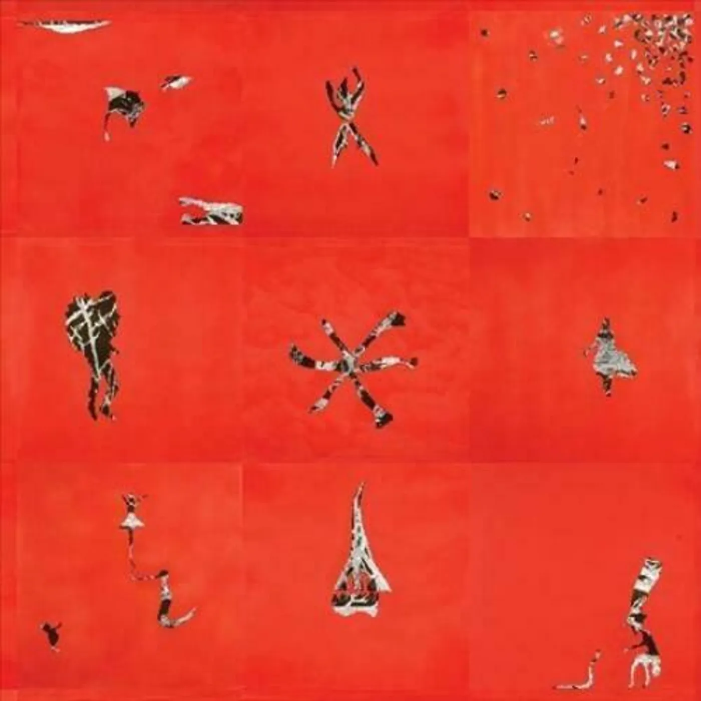 Animal Collective Hollinndagain Vinyl Record