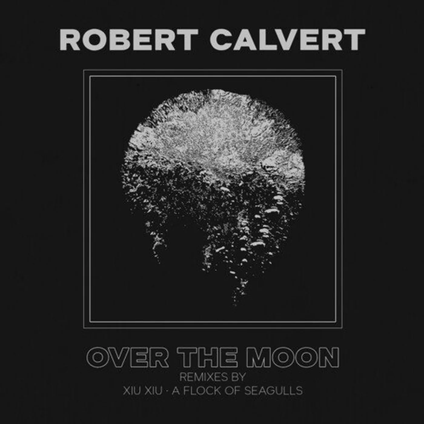 Robert Calvert Over The Moon Vinyl Record