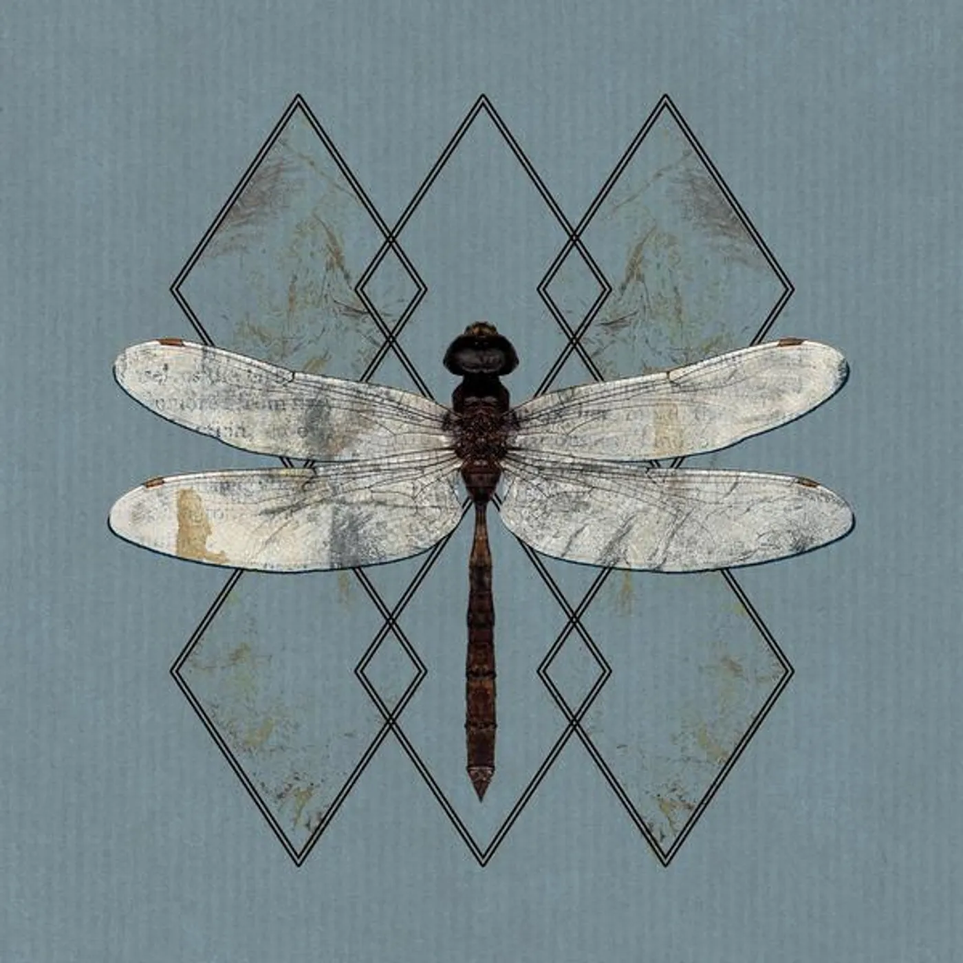 Ohhms Close Vinyl Record