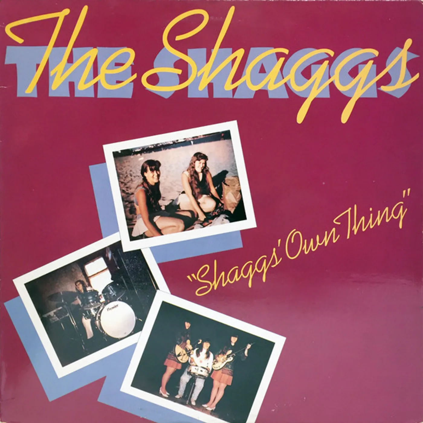 The Shaggs' Own Thing Vinyl Record