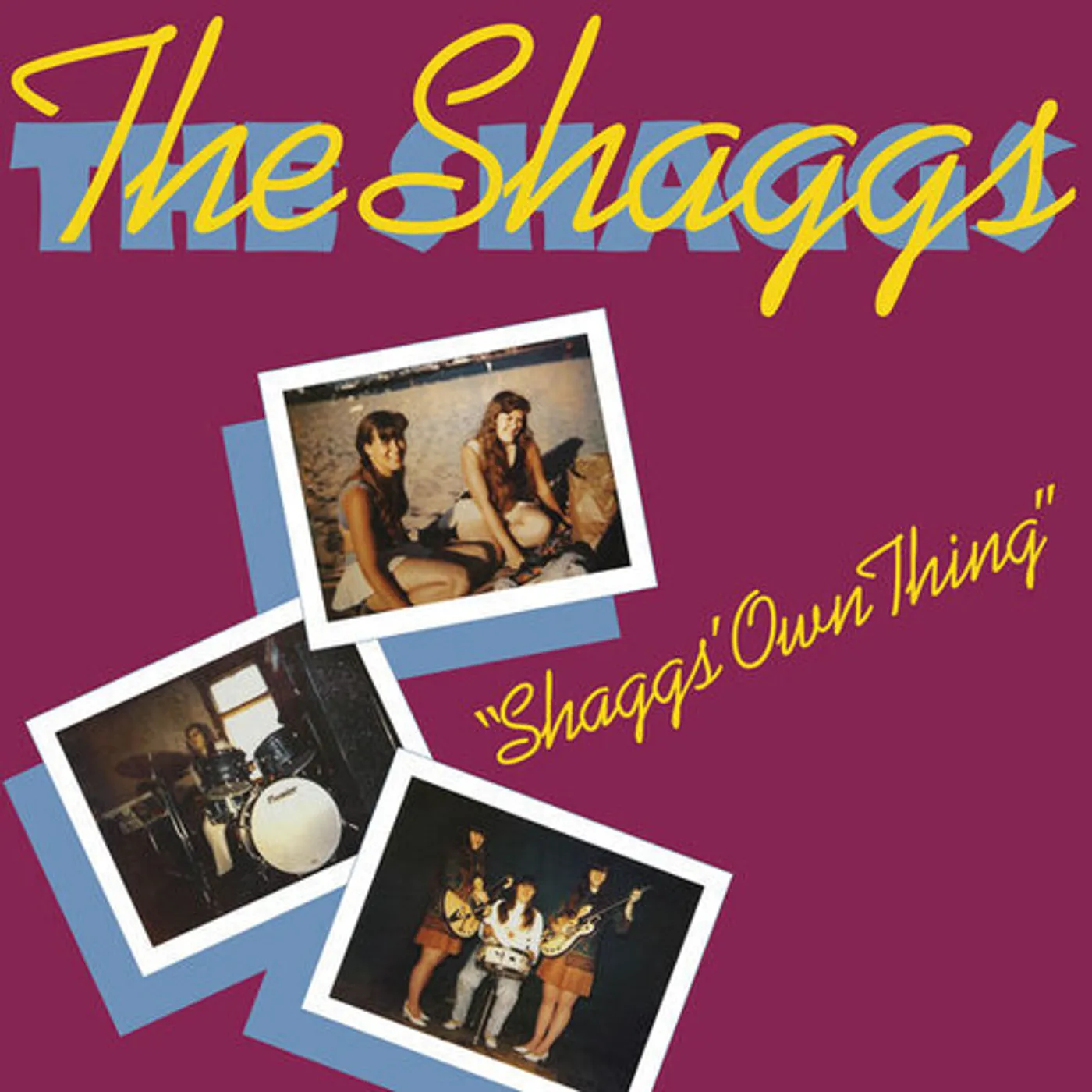 The Shaggs' OWN THING CD