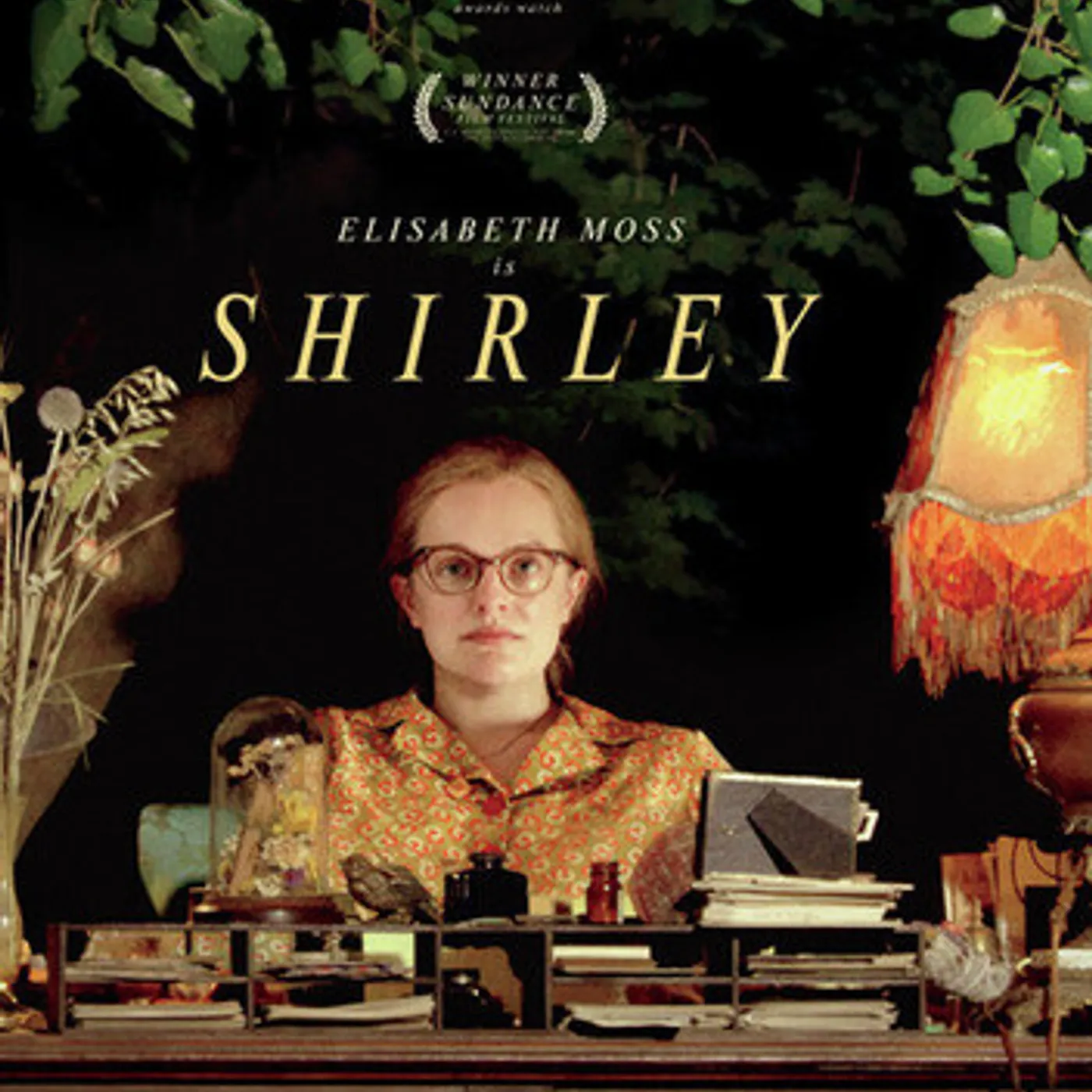 SHIRLEY DVD