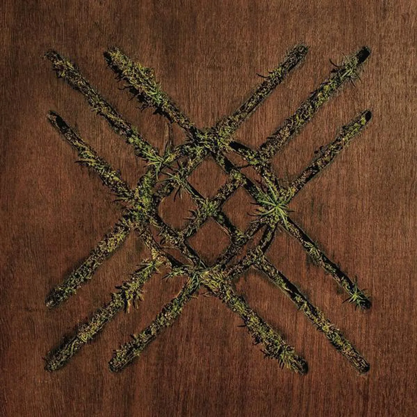 Moon Tooth Violent Grief: Acoustic Selections Vinyl Record