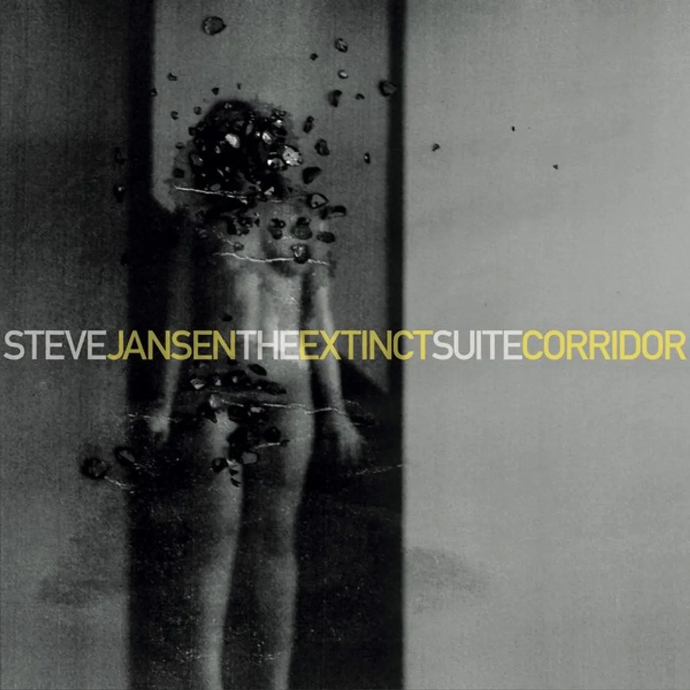 Steve Jansen EXTINCT SUITE / CORRIDOR Vinyl Record - UK Release