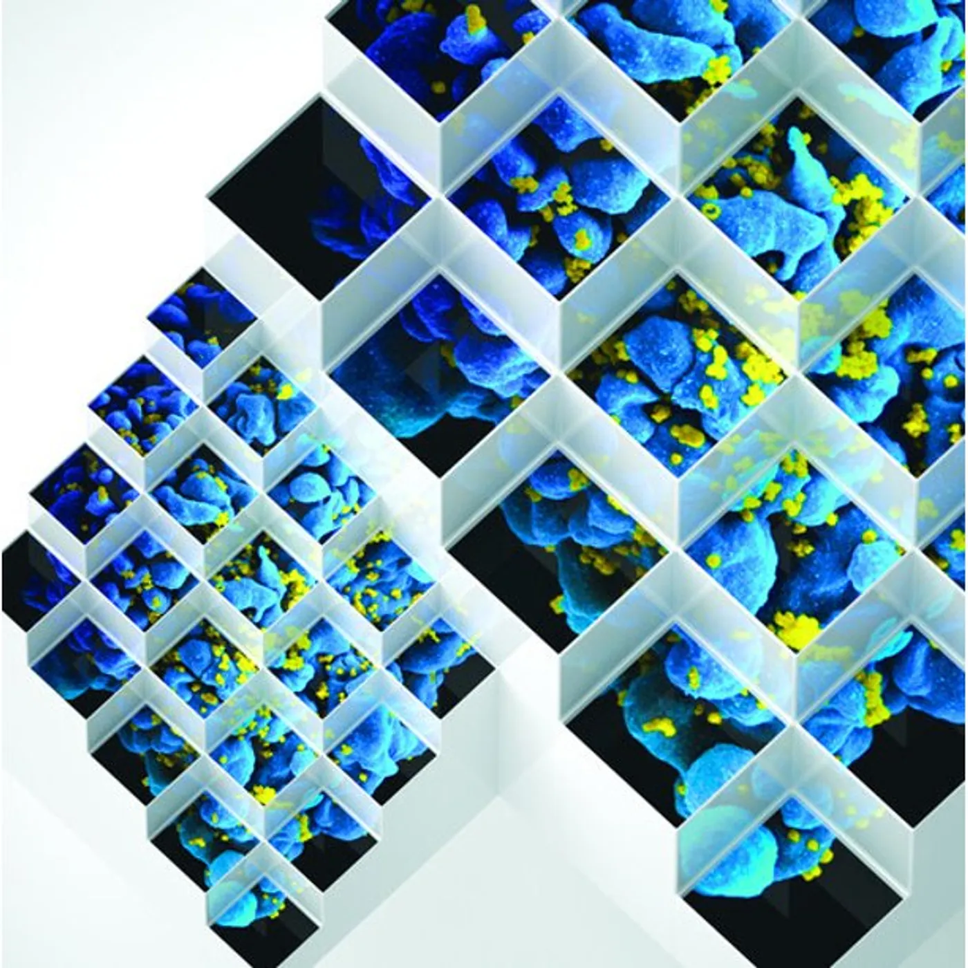 Bluetech Liquid Geometries In Dub Vinyl Record