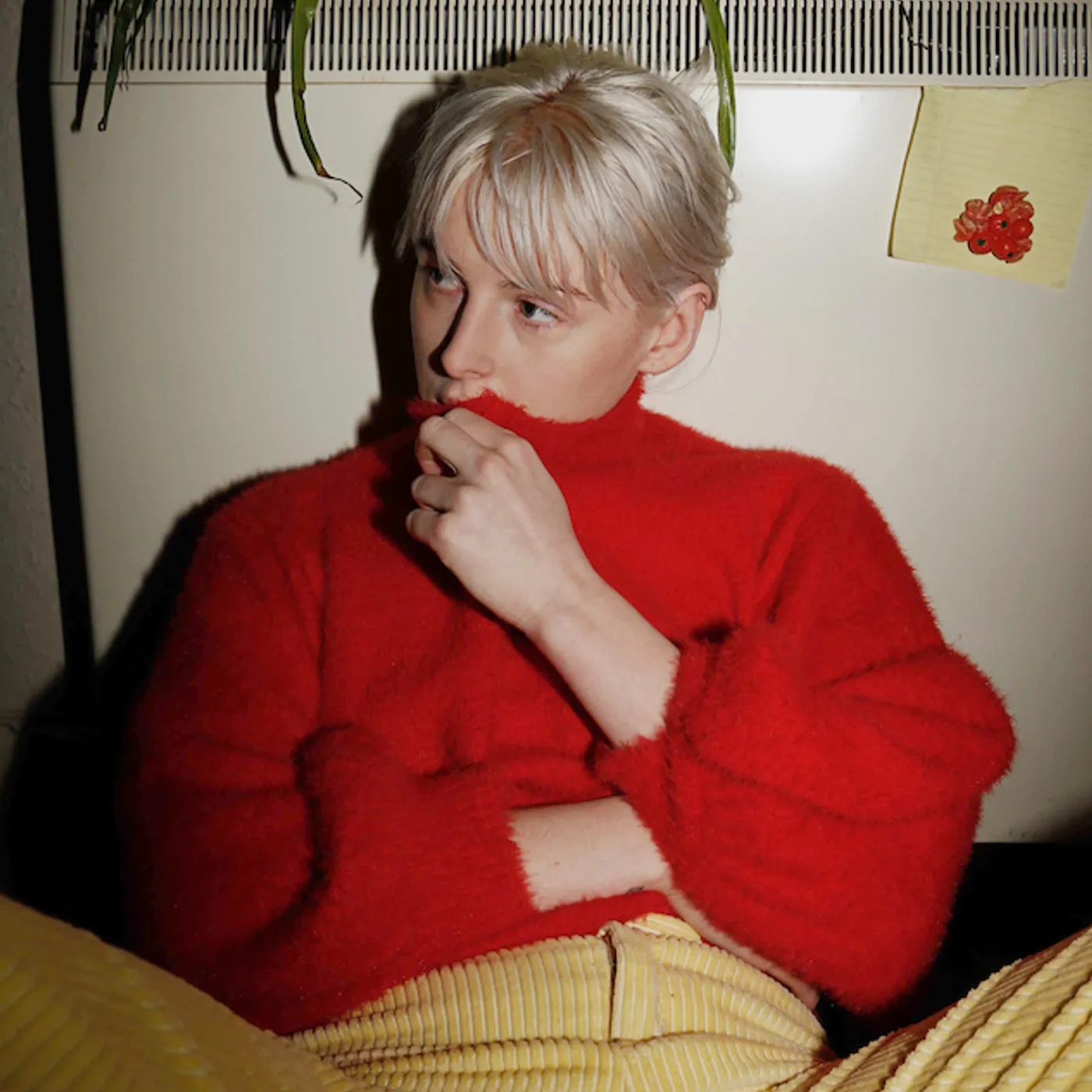 Fenne Lily BREACH CD