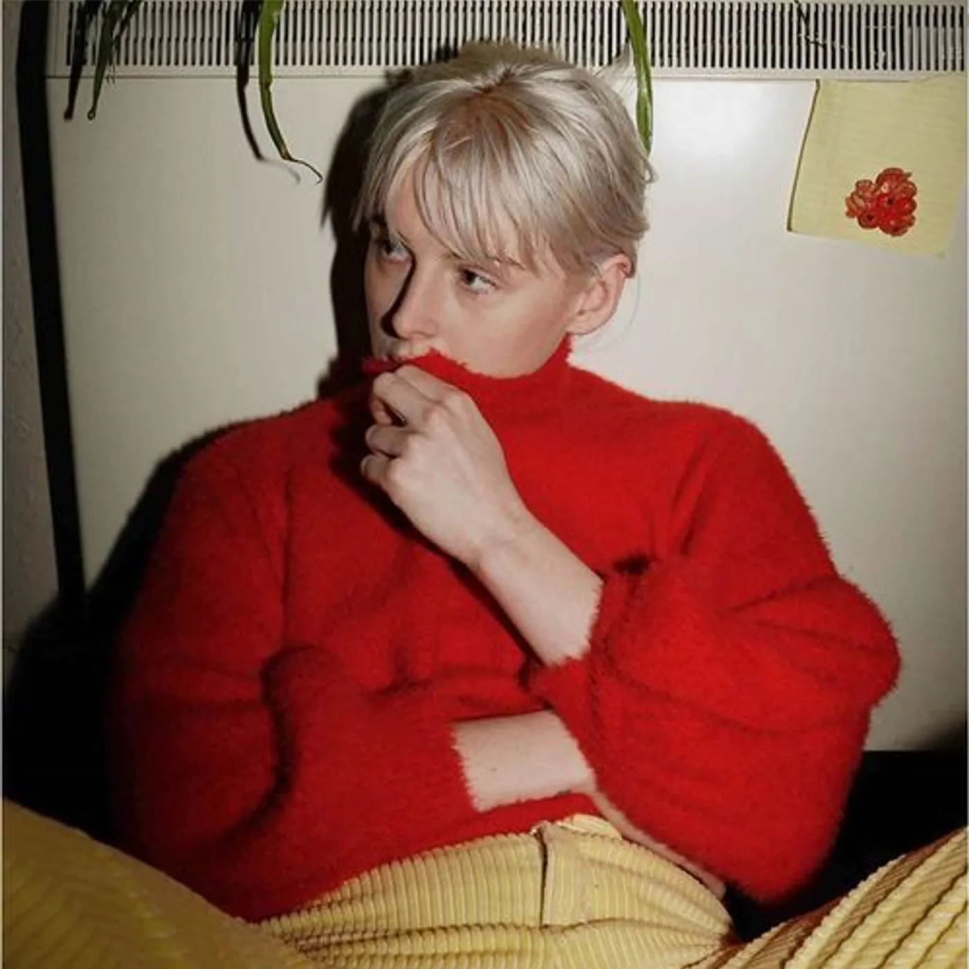 Fenne Lily Breach Vinyl Record