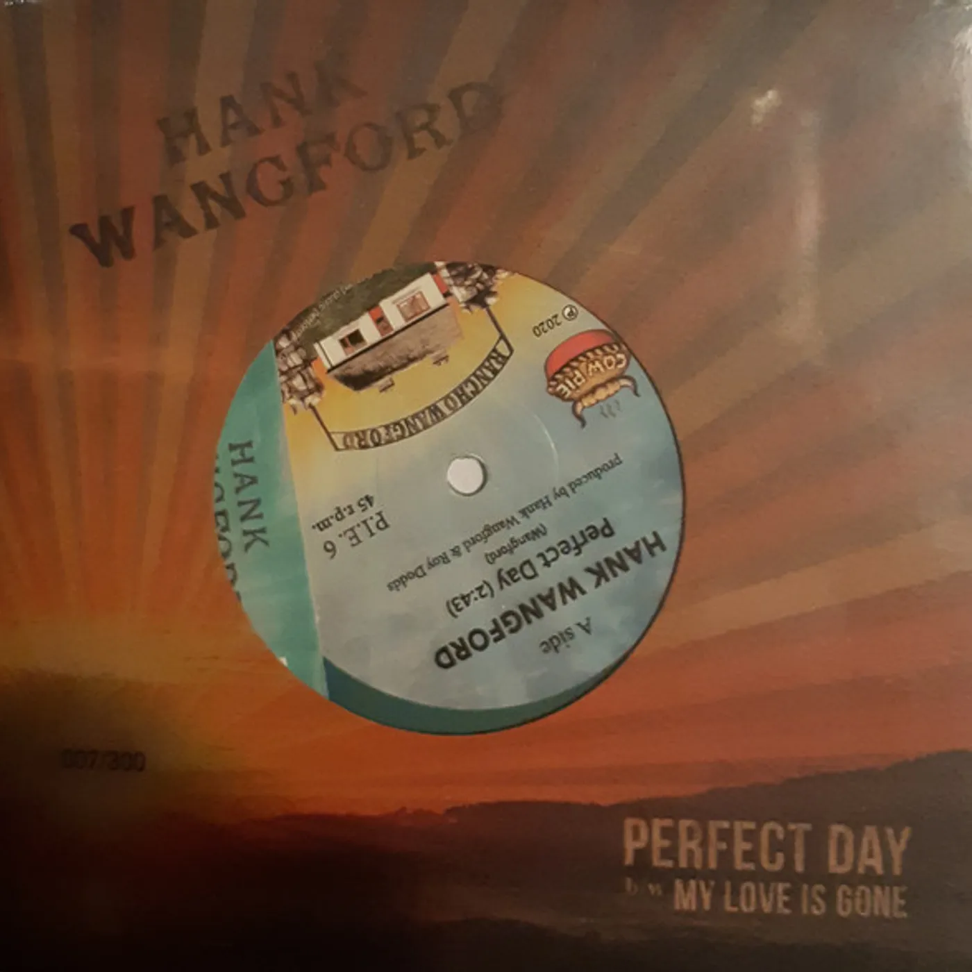 Hank Wangford Perfect Day Vinyl Record