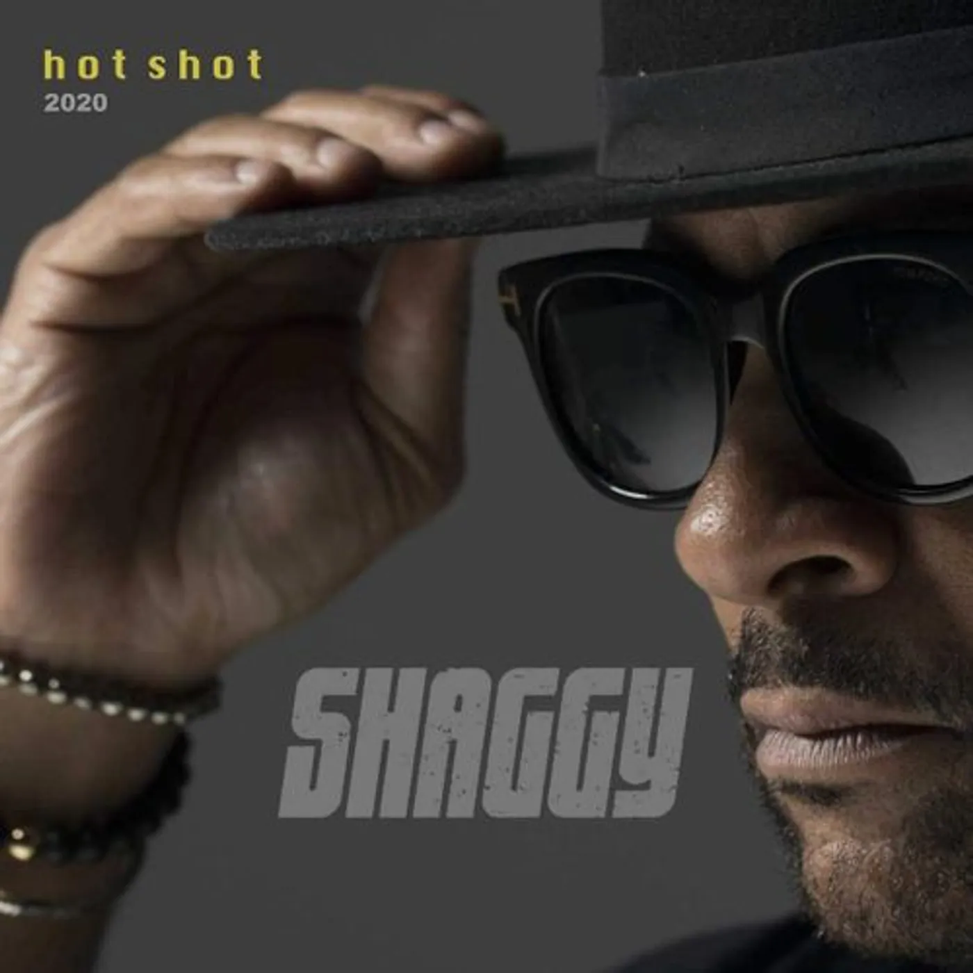 Shaggy Hot Shot 2020 Vinyl Record