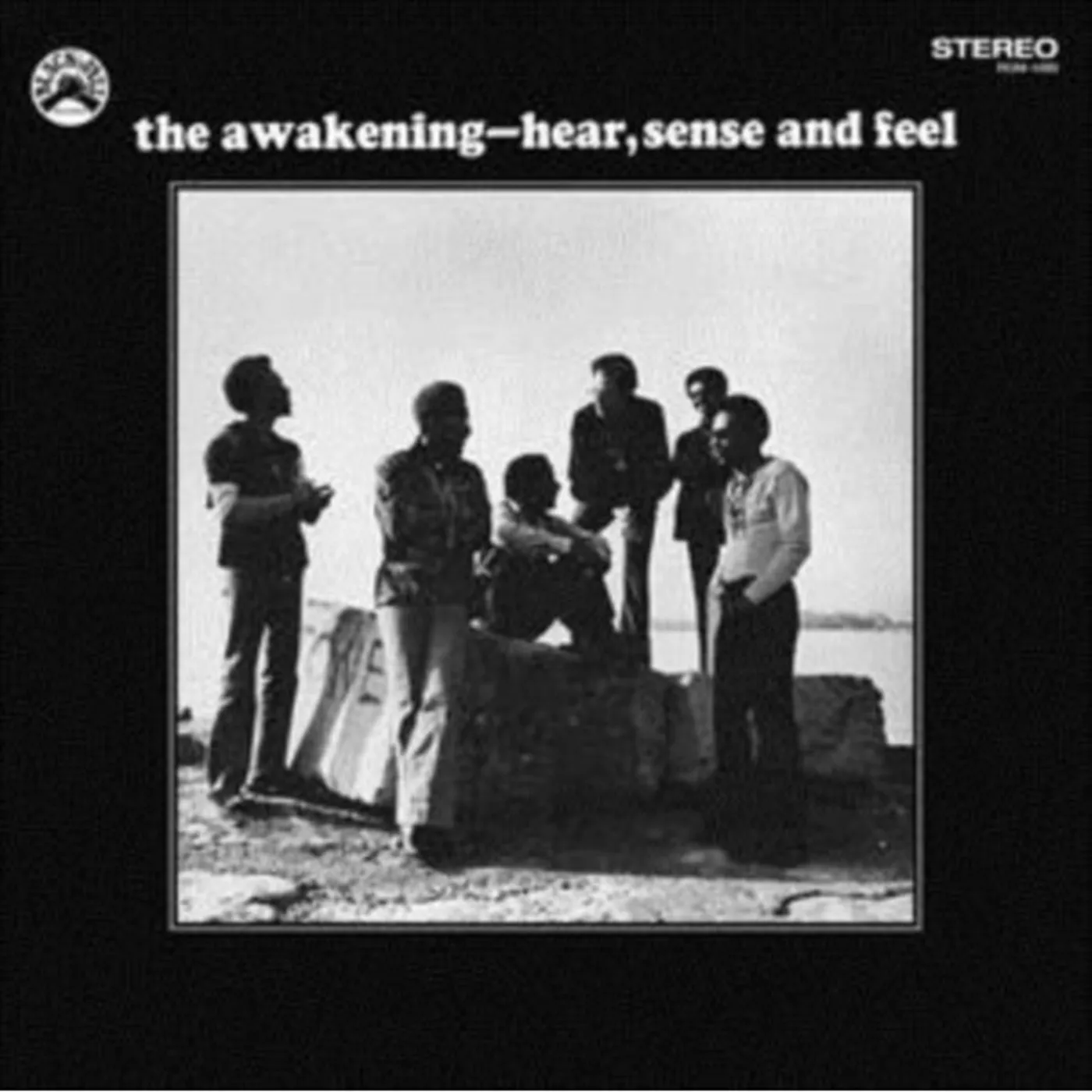 The Awakening HEAR SENSE & FEEL Vinyl Record