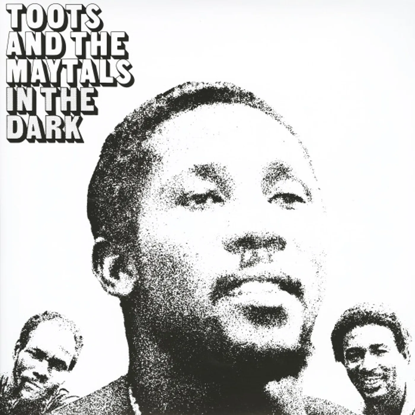 Toots & The Maytals IN THE DARK (180G AUDIOPHILE VINYL/IMPORT) Vinyl Record