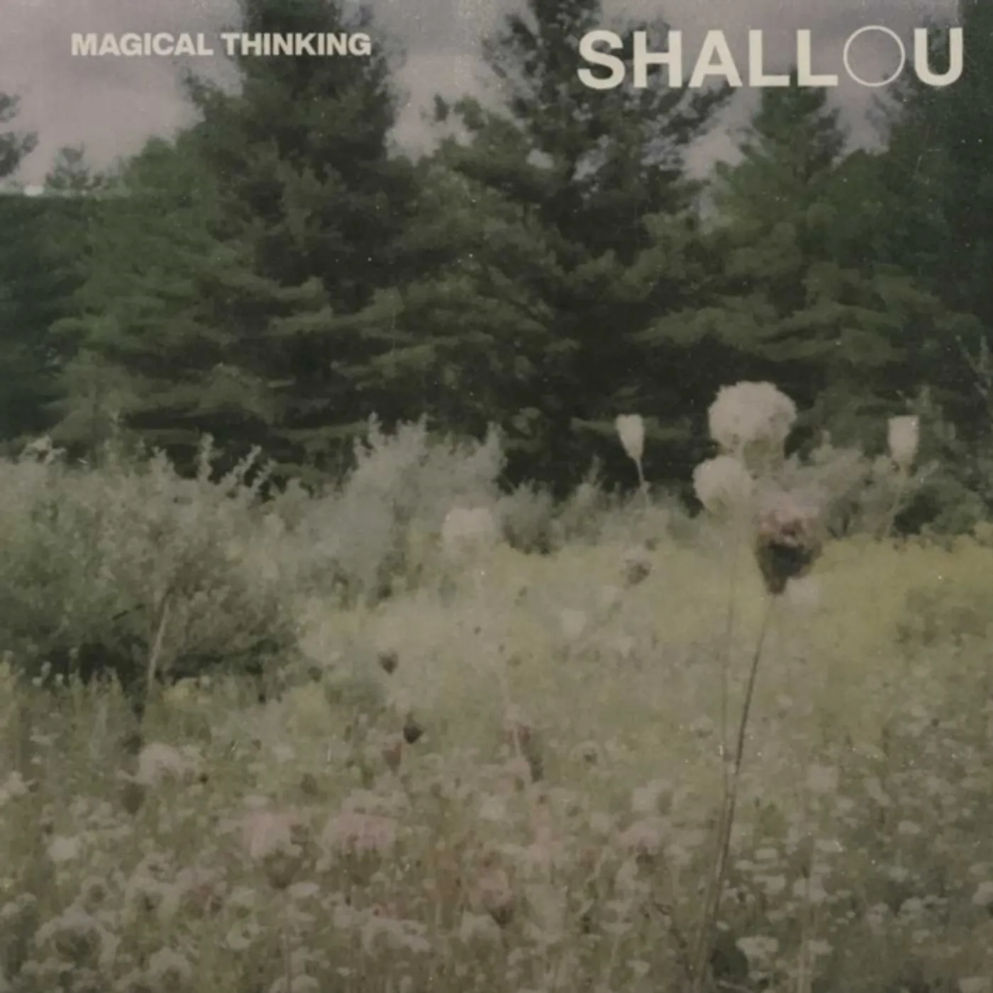 Shallou Magical Thinking Vinyl Record