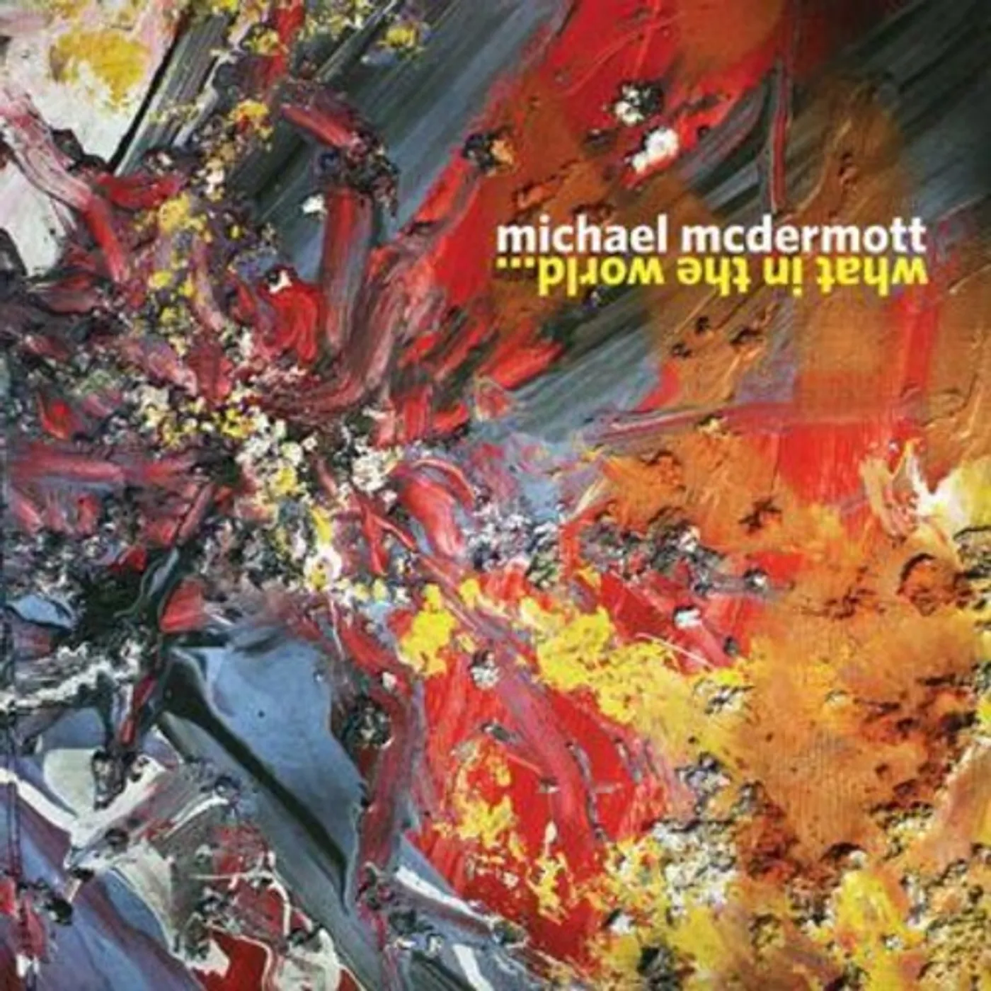 Michael McDermott WHAT IN THE WORLD CD
