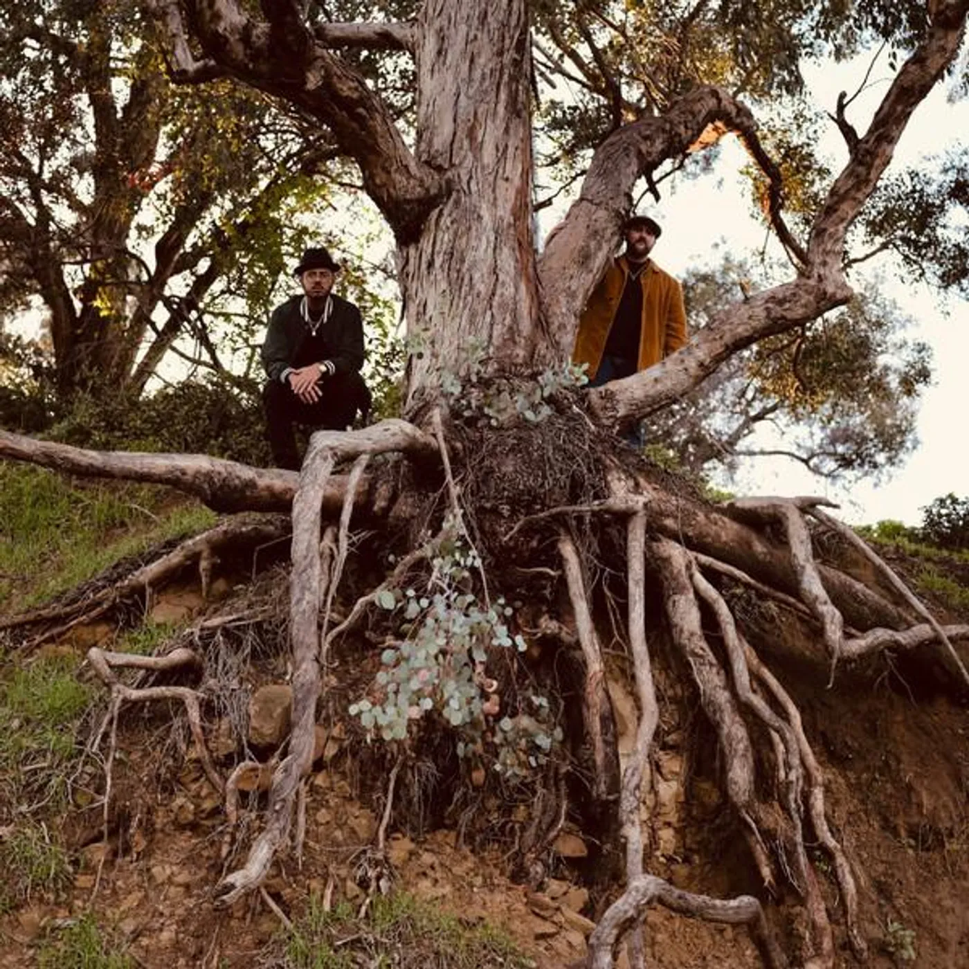 Blu & Exile Miles Vinyl Record