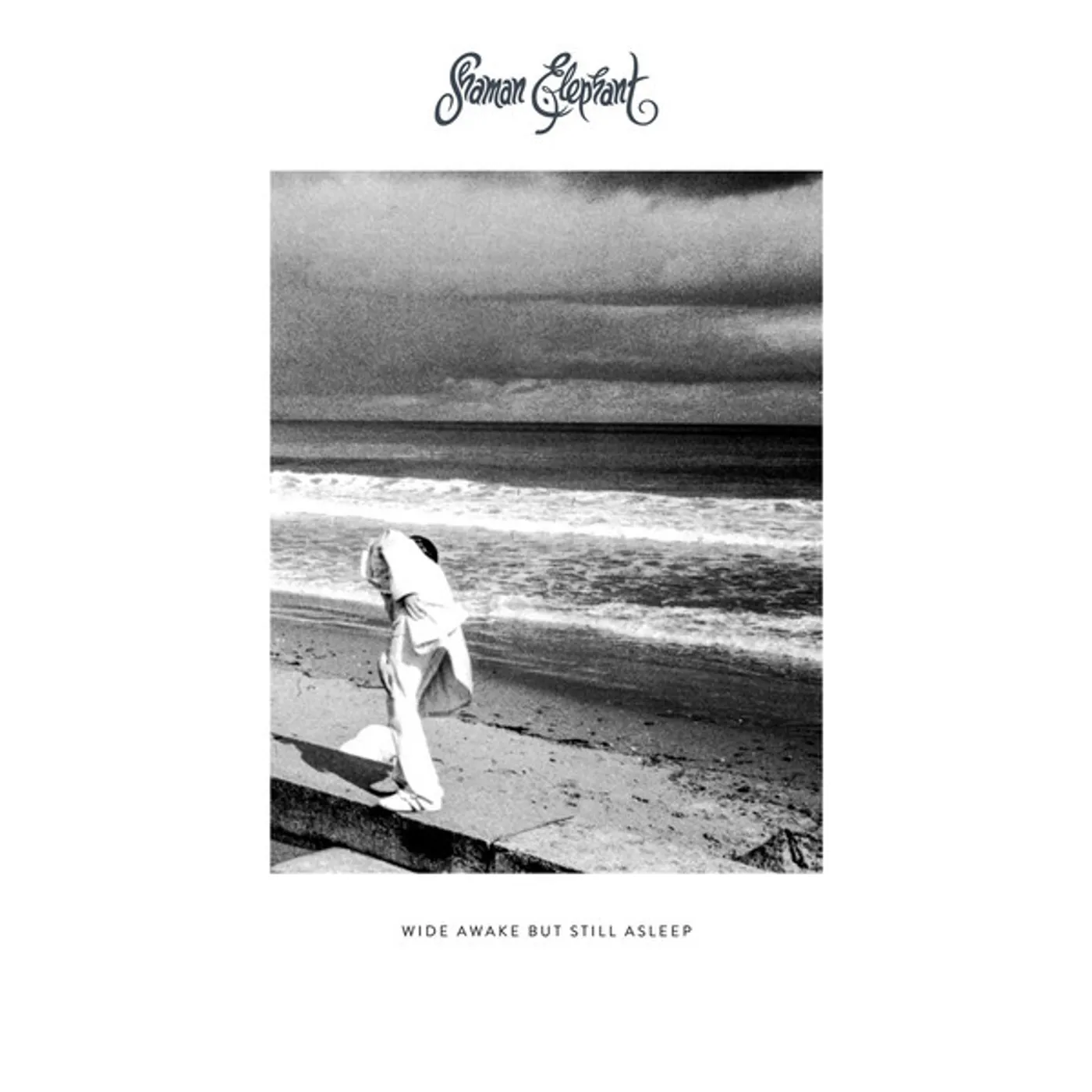 Shaman Elephant Wide Awake but Still Asleep Vinyl Record