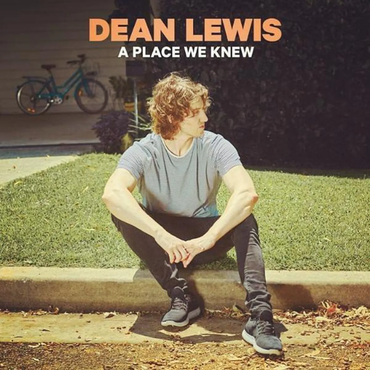 Dean Lewis PLACE WE KNEW Vinyl Record