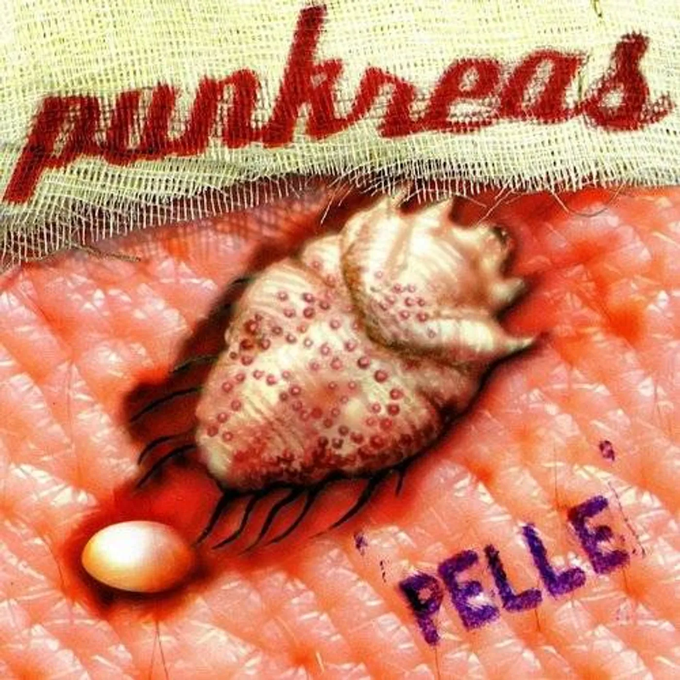 Punkreas Pelle Vinyl Record