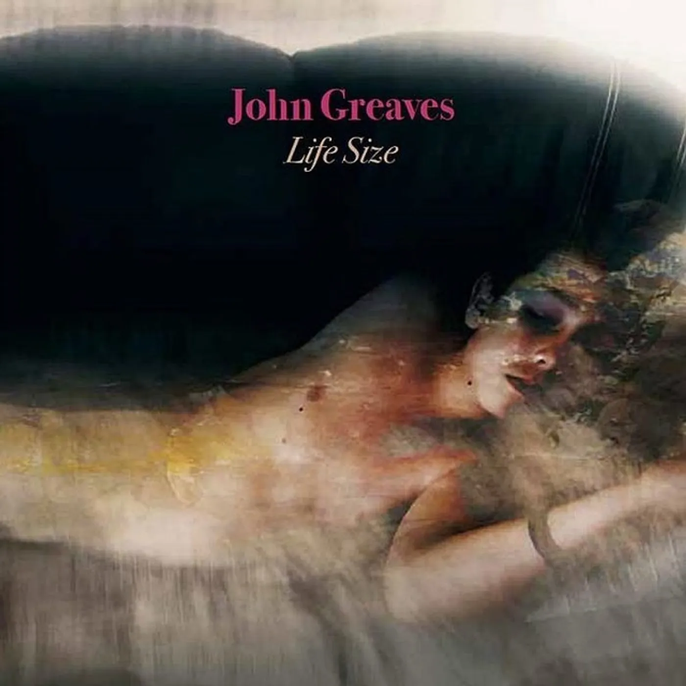 John Greaves Life Size Vinyl Record