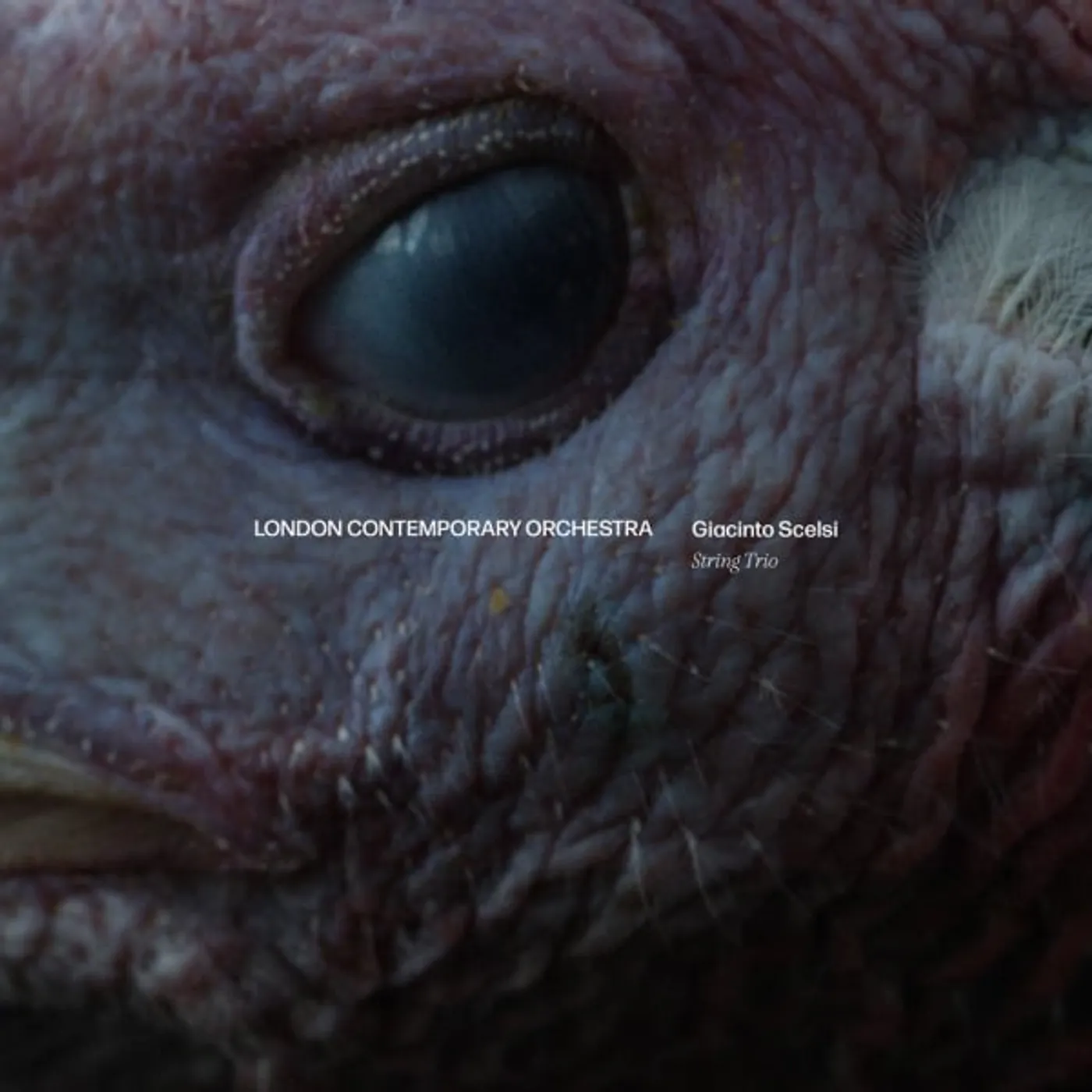 London Contemporary Orchestra GIACINTO SCELSI: STRING TRIO Vinyl Record