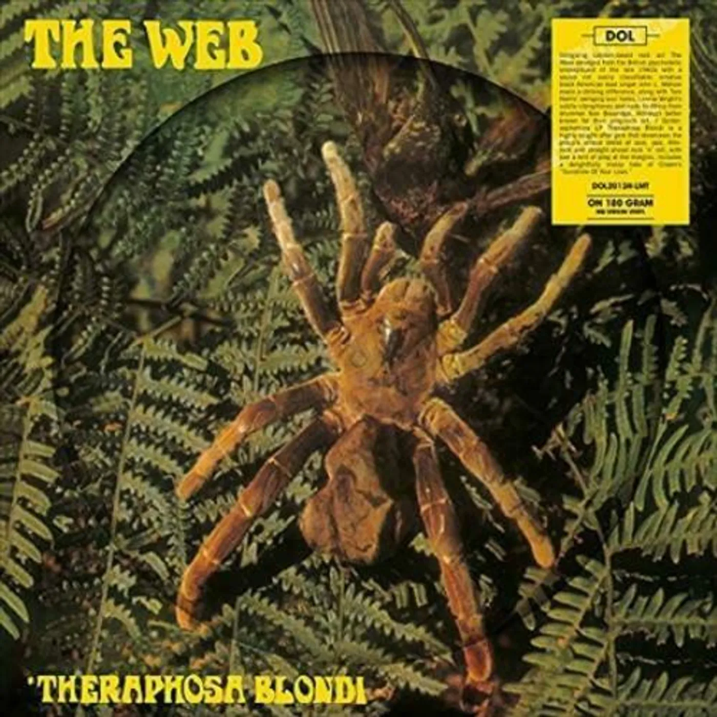 Web Theraphosa Blondi Vinyl Record