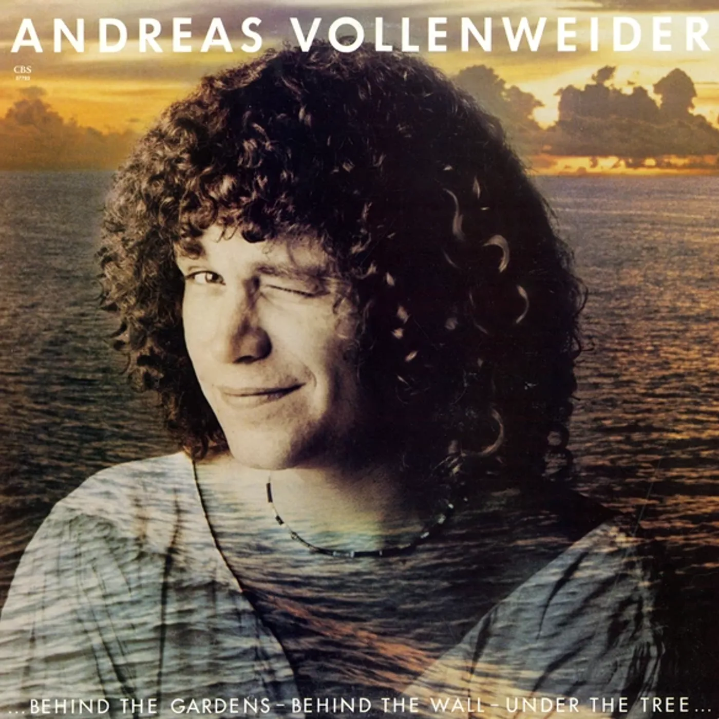 Andreas Vollenweider BEHIND THE GARDENS - BEHIND THE WALL - UNDER Vinyl Record