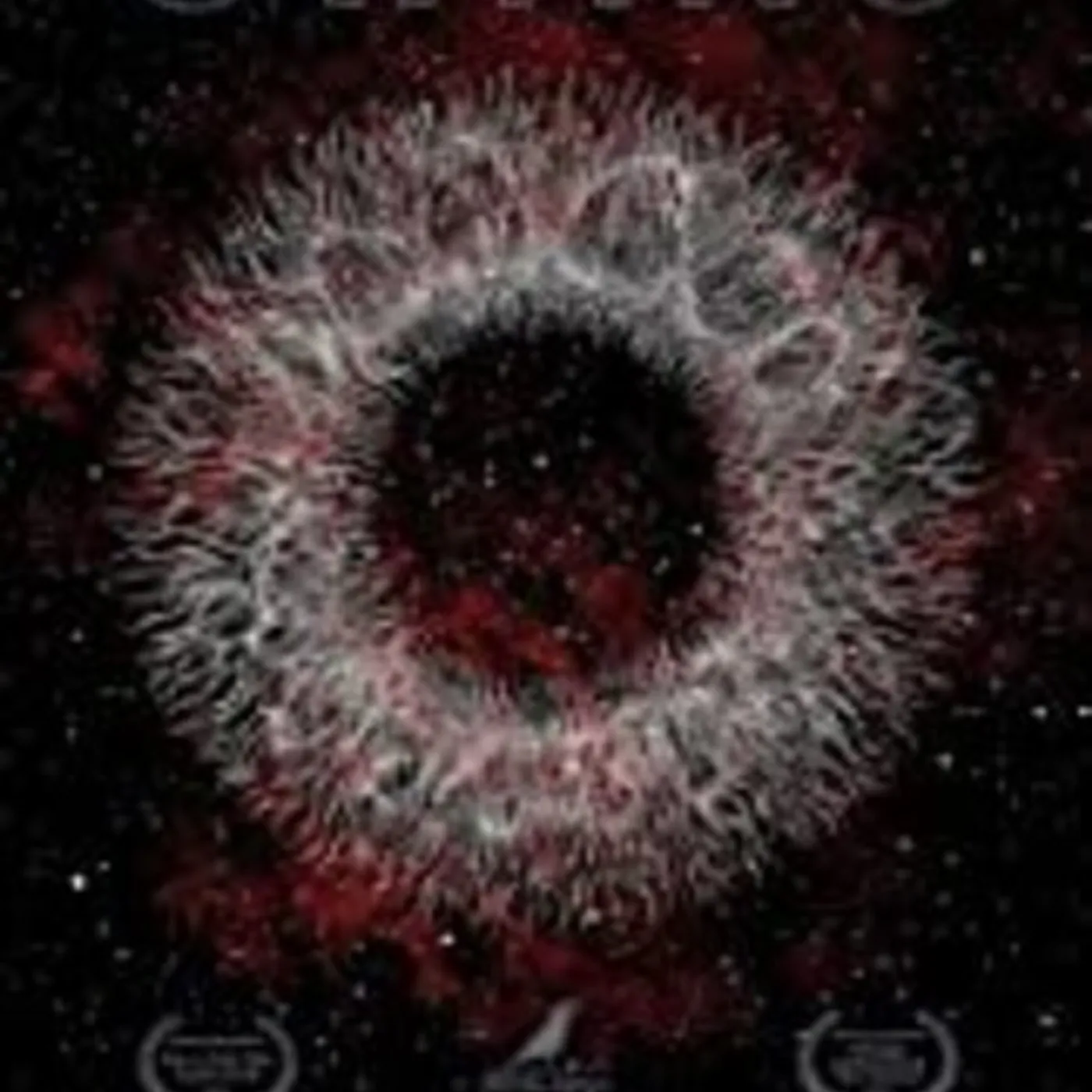 Swans WHERE DOES A BODY END Blu-ray