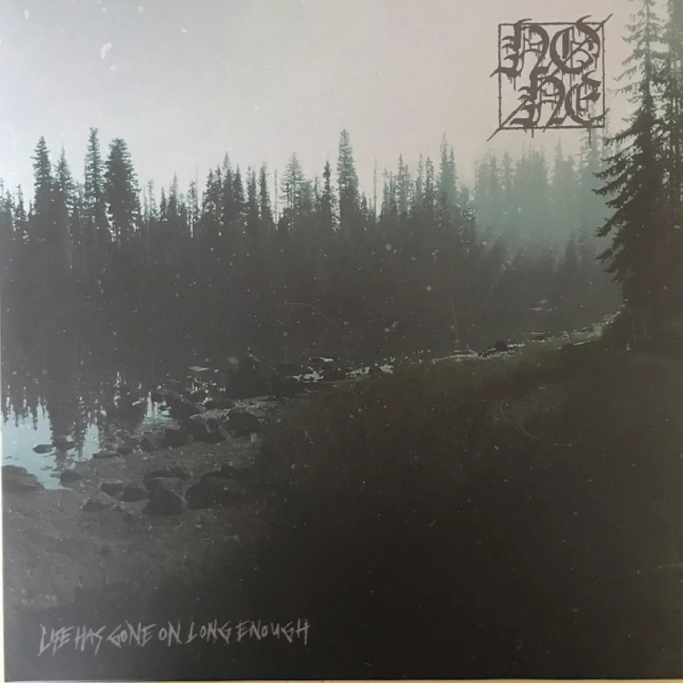 Life Has Gone on Long Enough Vinyl Record