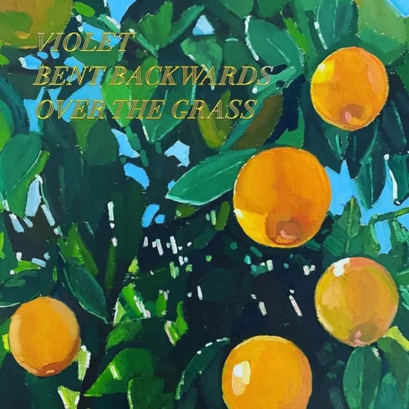 Lana Del Rey Violet Bent Backwards Over The Grass Vinyl Record