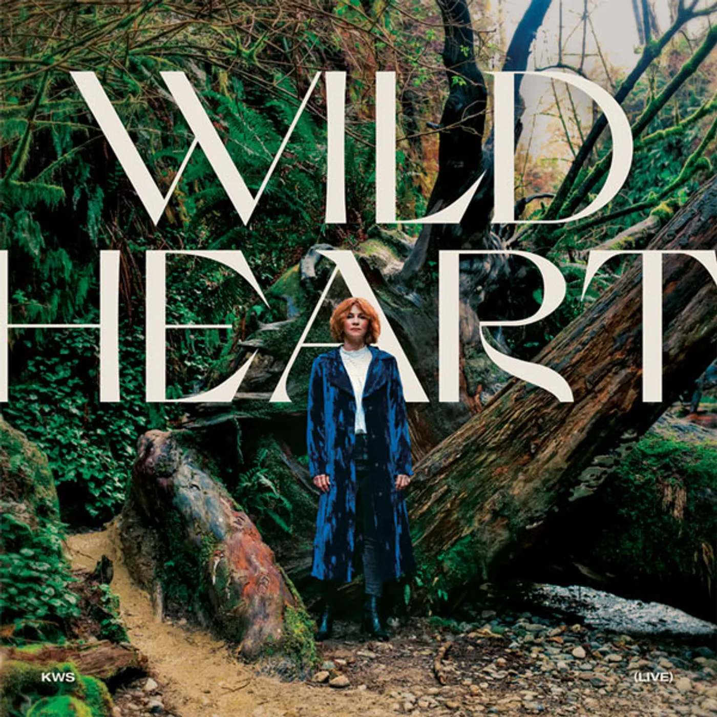 Kim Walker-Smith Wild Heart Vinyl Record