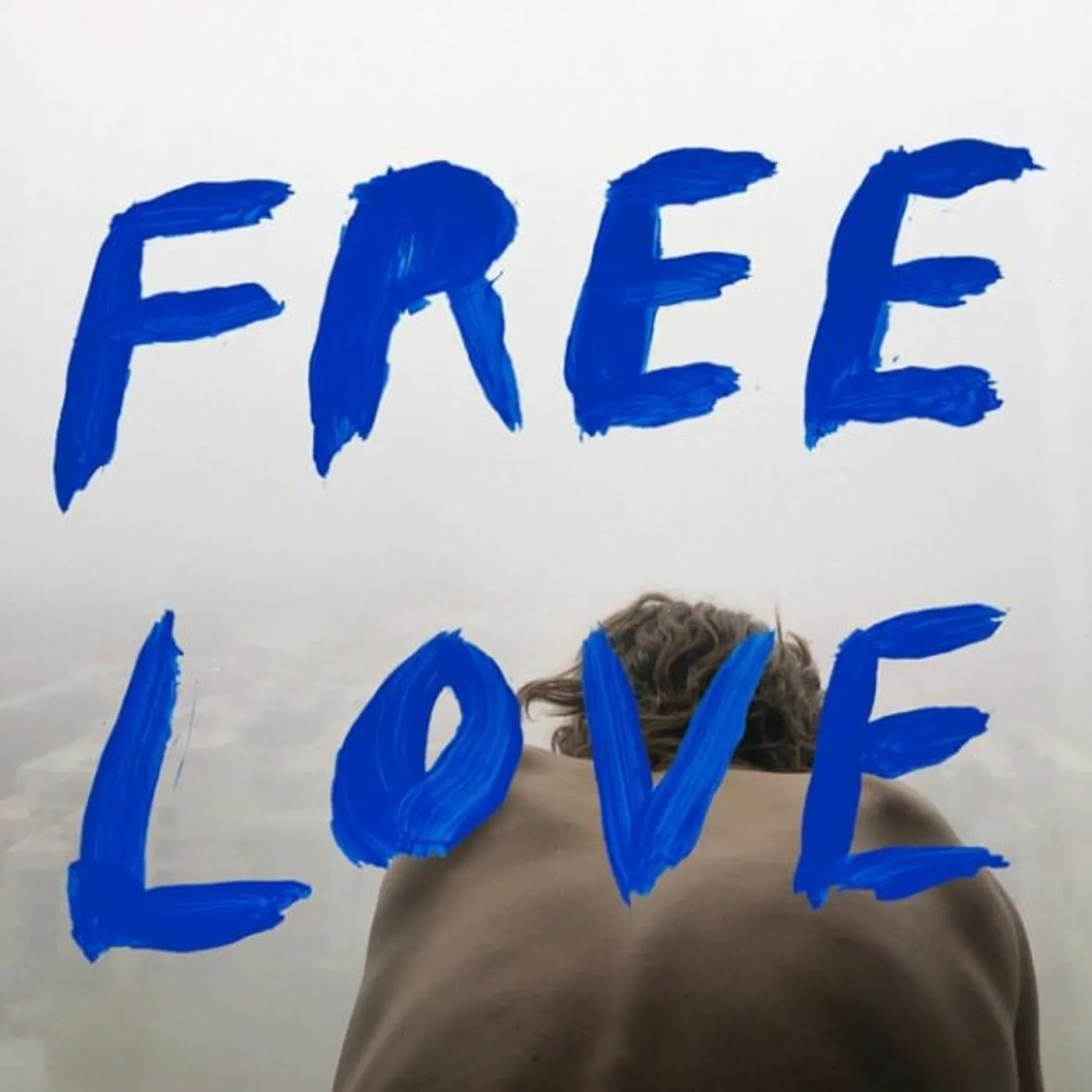 Sylvan Esso Free Love Vinyl Record