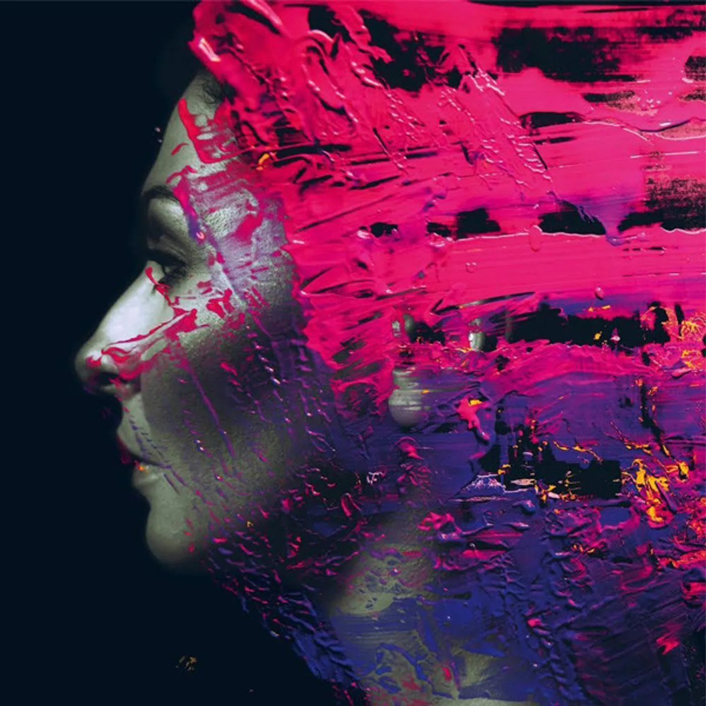 Steven Wilson HAND.CANNOT.ERASE Vinyl Record