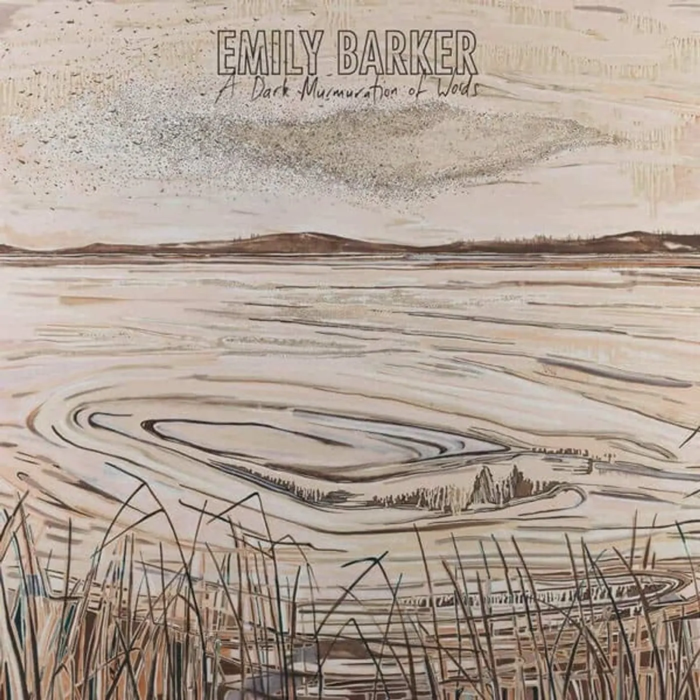 Emily Barker DARK MURMURATION OF WORDS Vinyl Record