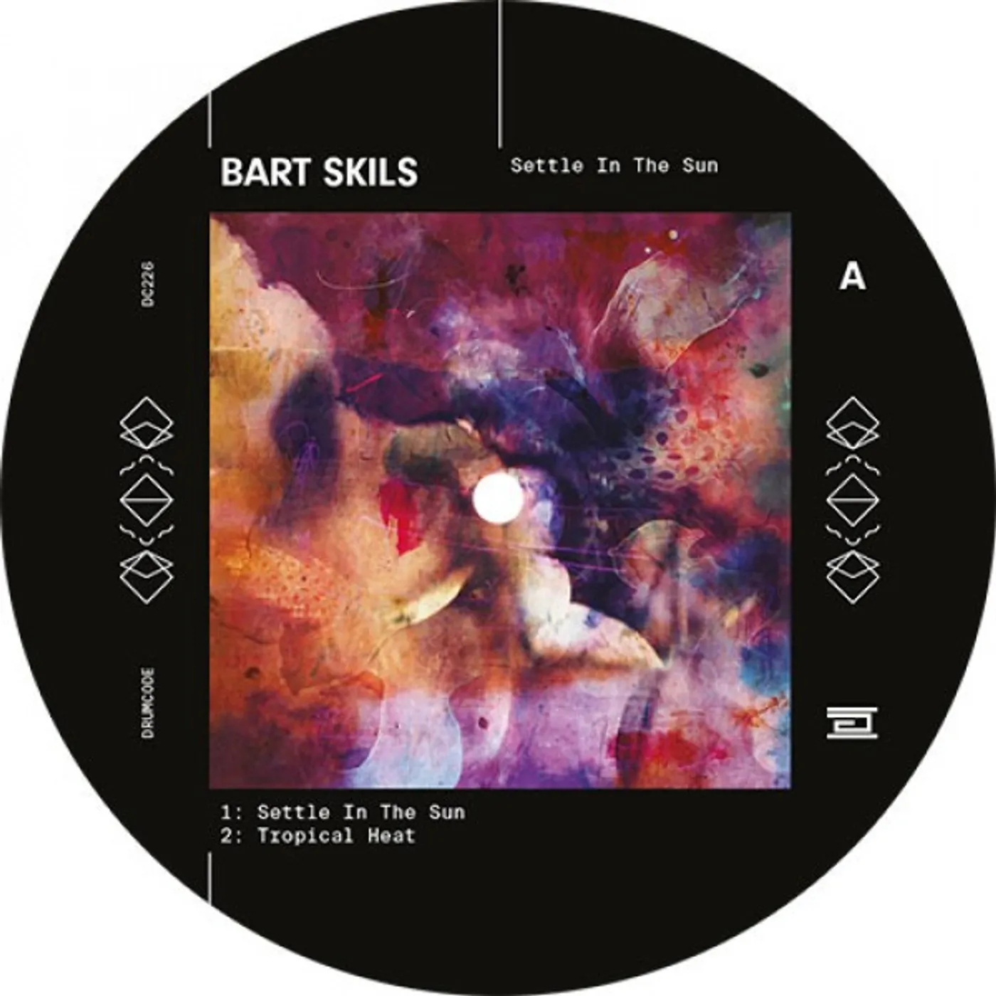 Bart Skils Settle in the Sun Vinyl Record